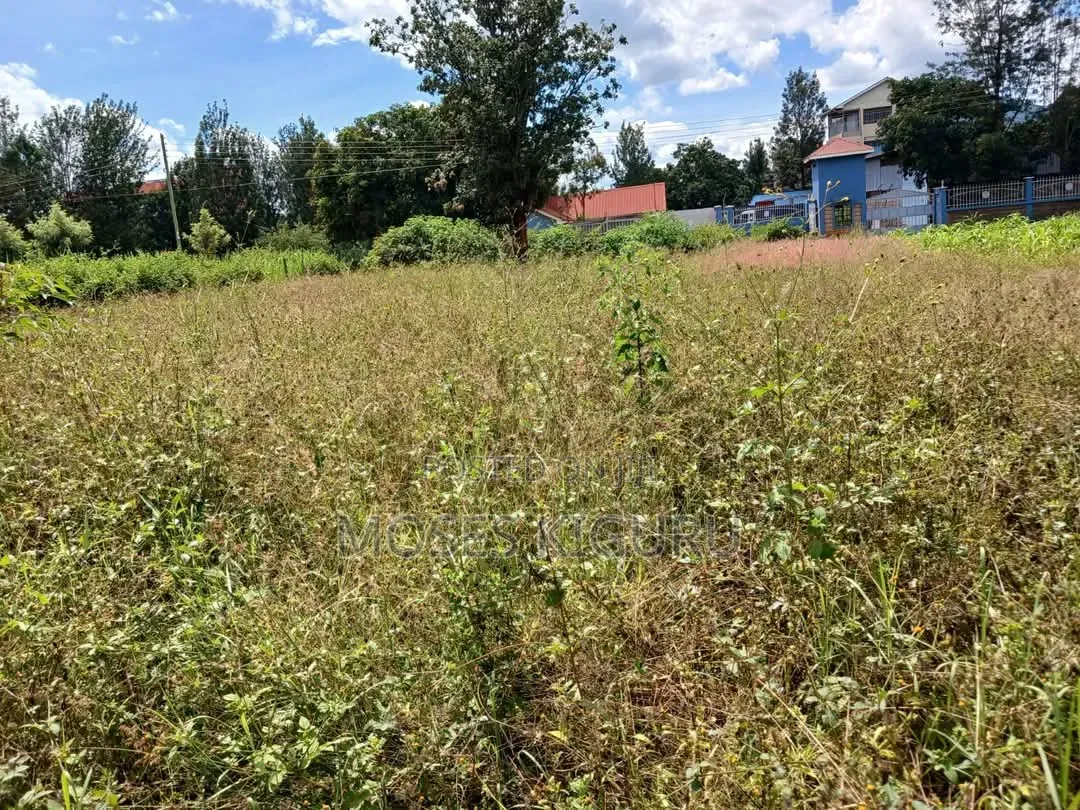 Oj Junction 75x150 Commercial Plot in Old Junction