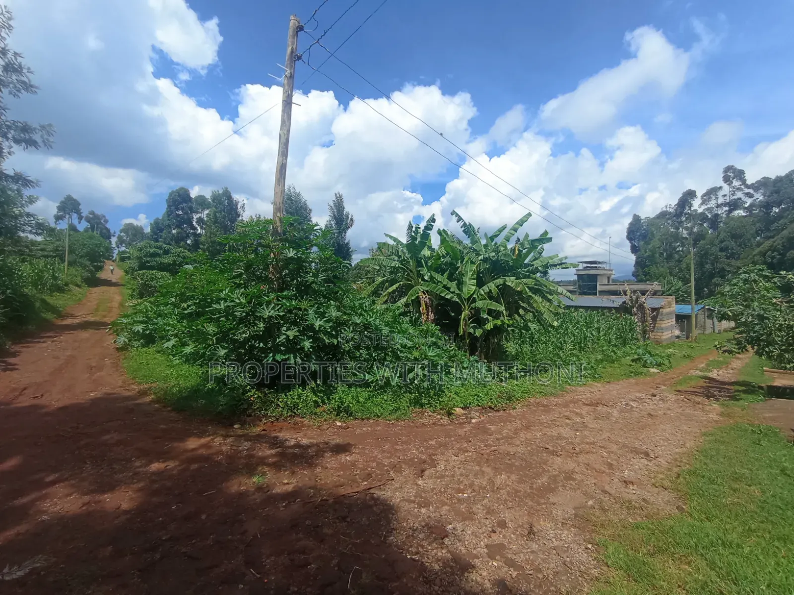 1/4 Acre Plots for Sale in Gikambura, Kikuyu in Karai