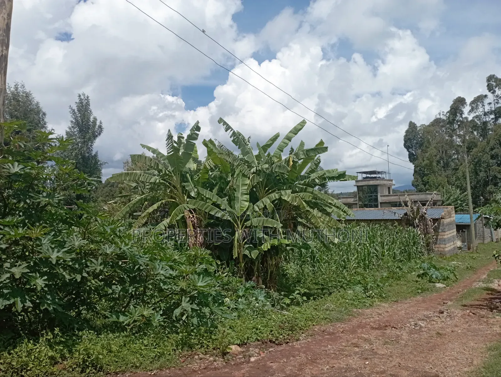1/4 Acre Plots for Sale in Gikambura, Kikuyu in Karai