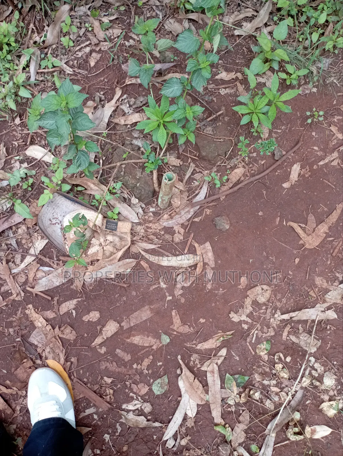 50×100 Plot for Sale in Gikambura, Kikuyu. in Karai