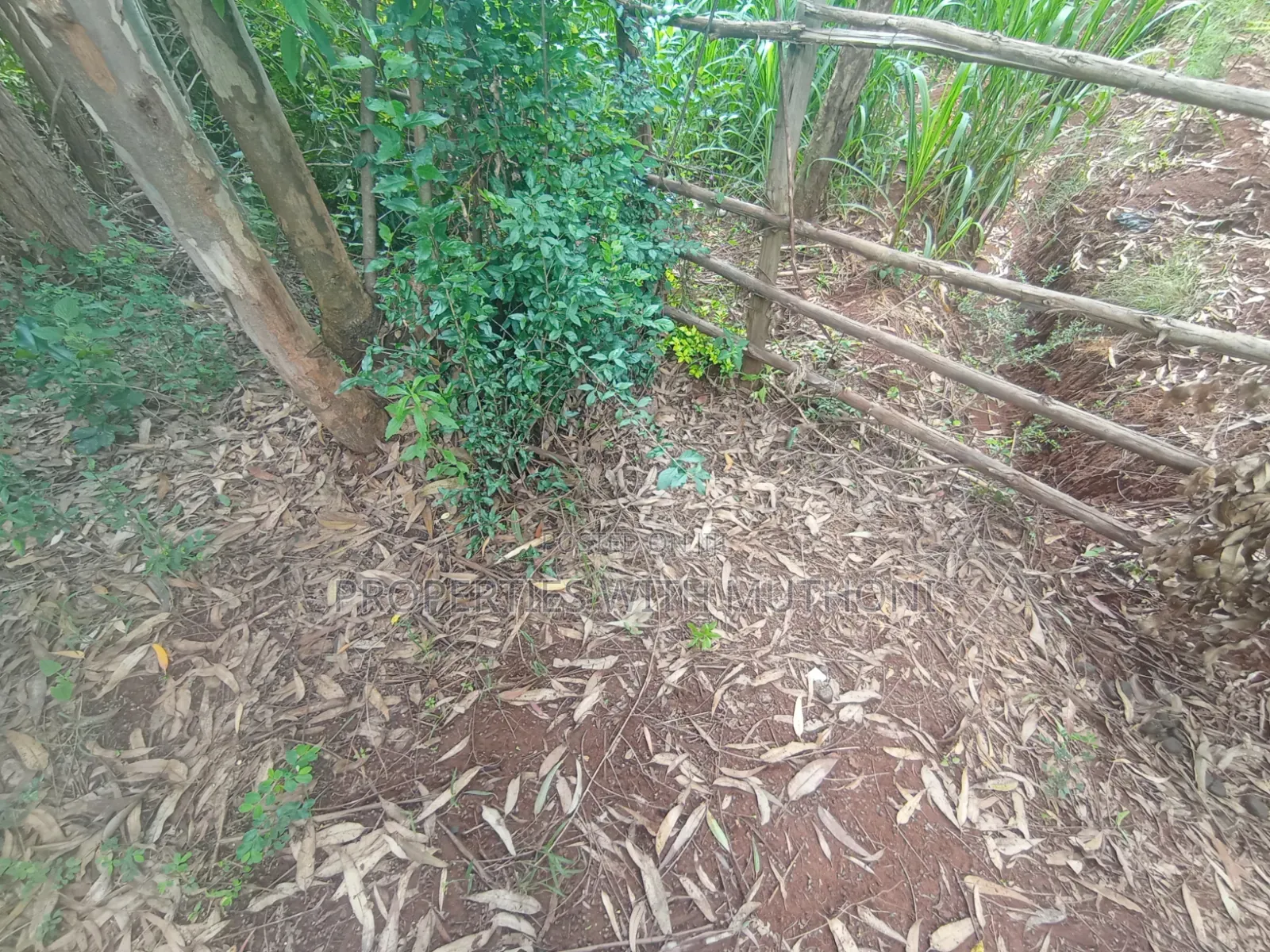 50×100 Plot for Sale in Gikambura, Kikuyu. in Karai