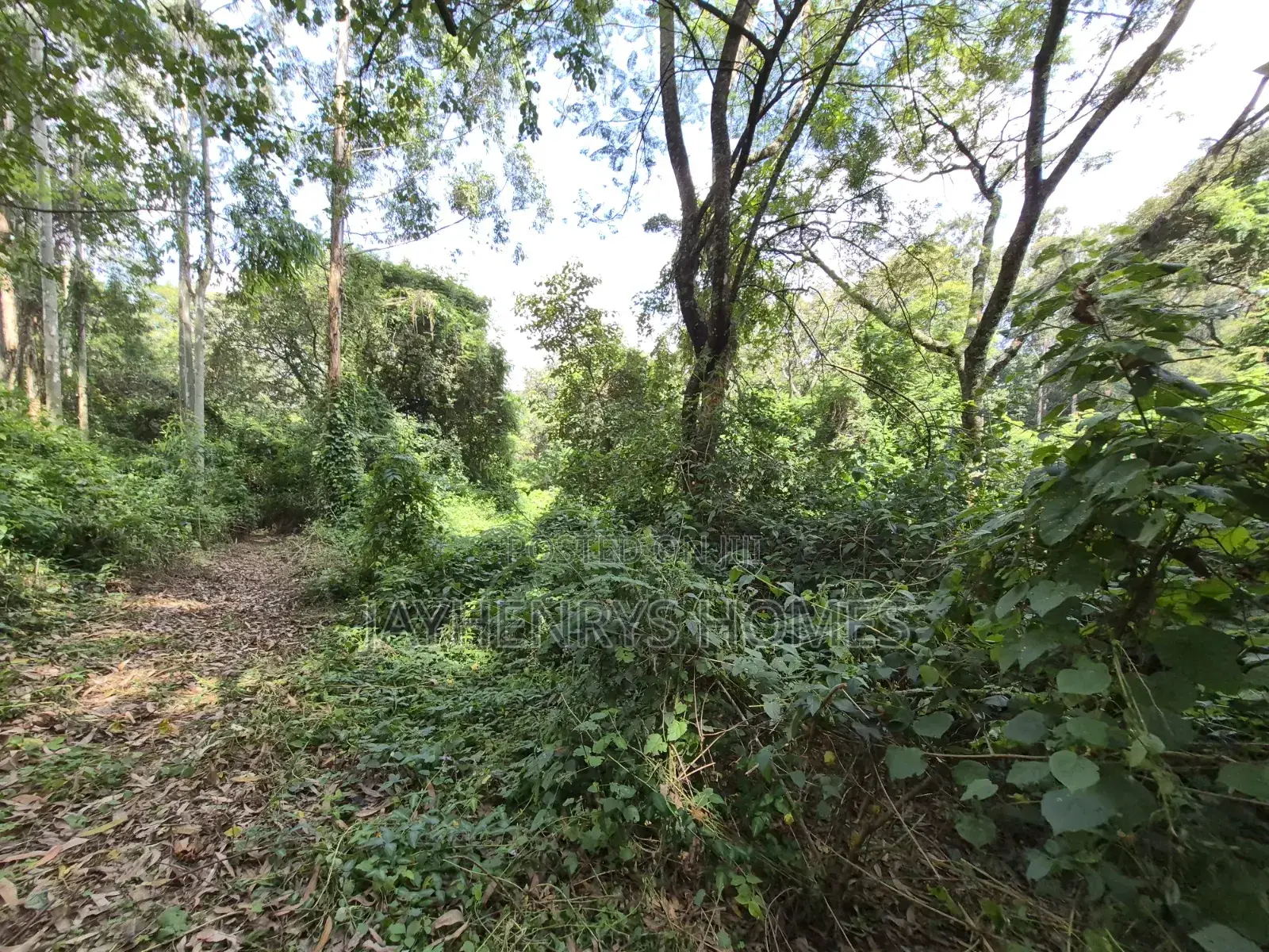 4.7 Acres of Land for Sale in Kitisuru Estate in Kitisuru