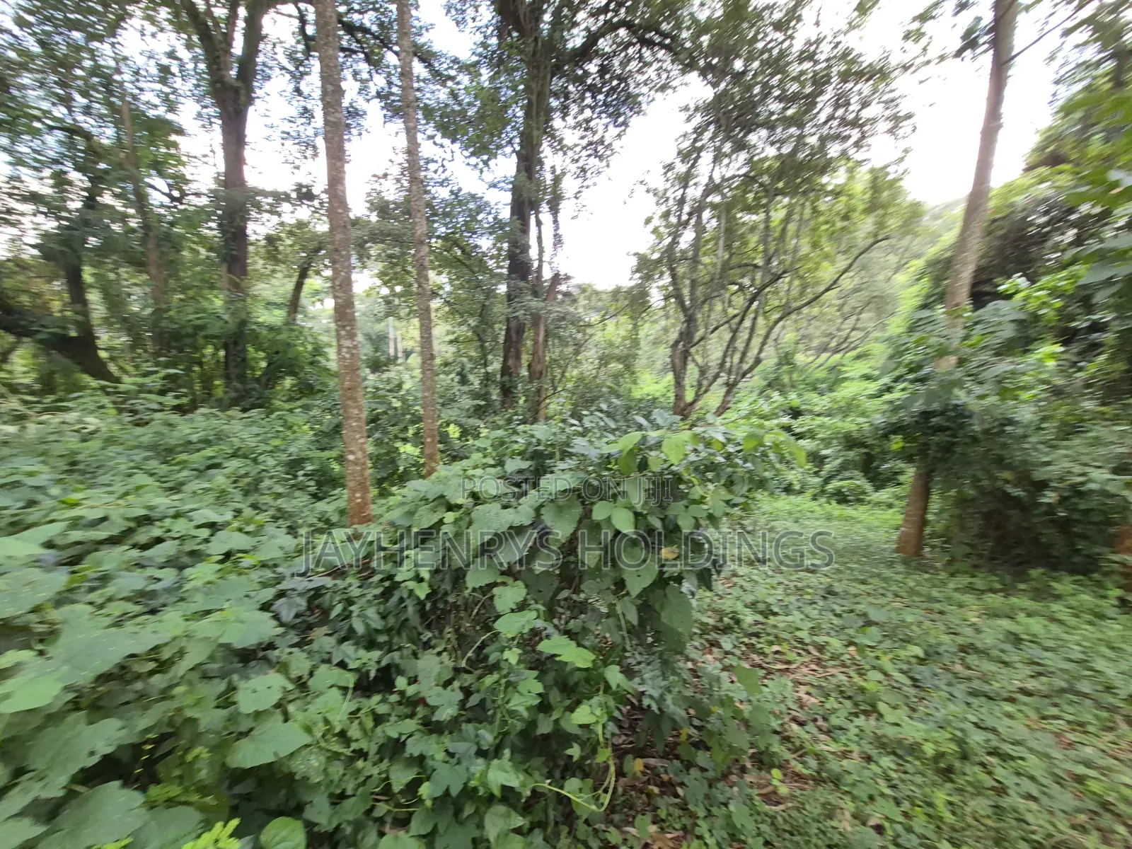 4.7 Acres of Land for Sale in Kitisuru Estate in Kitisuru