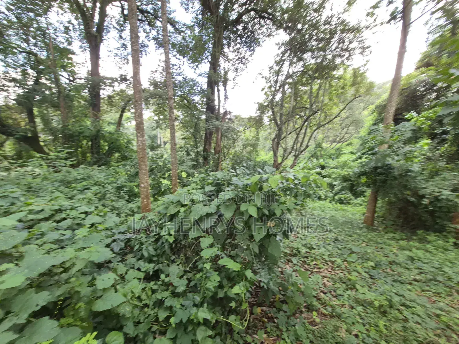 4.7 Acres of Land for Sale in Kitisuru Estate in Kitisuru