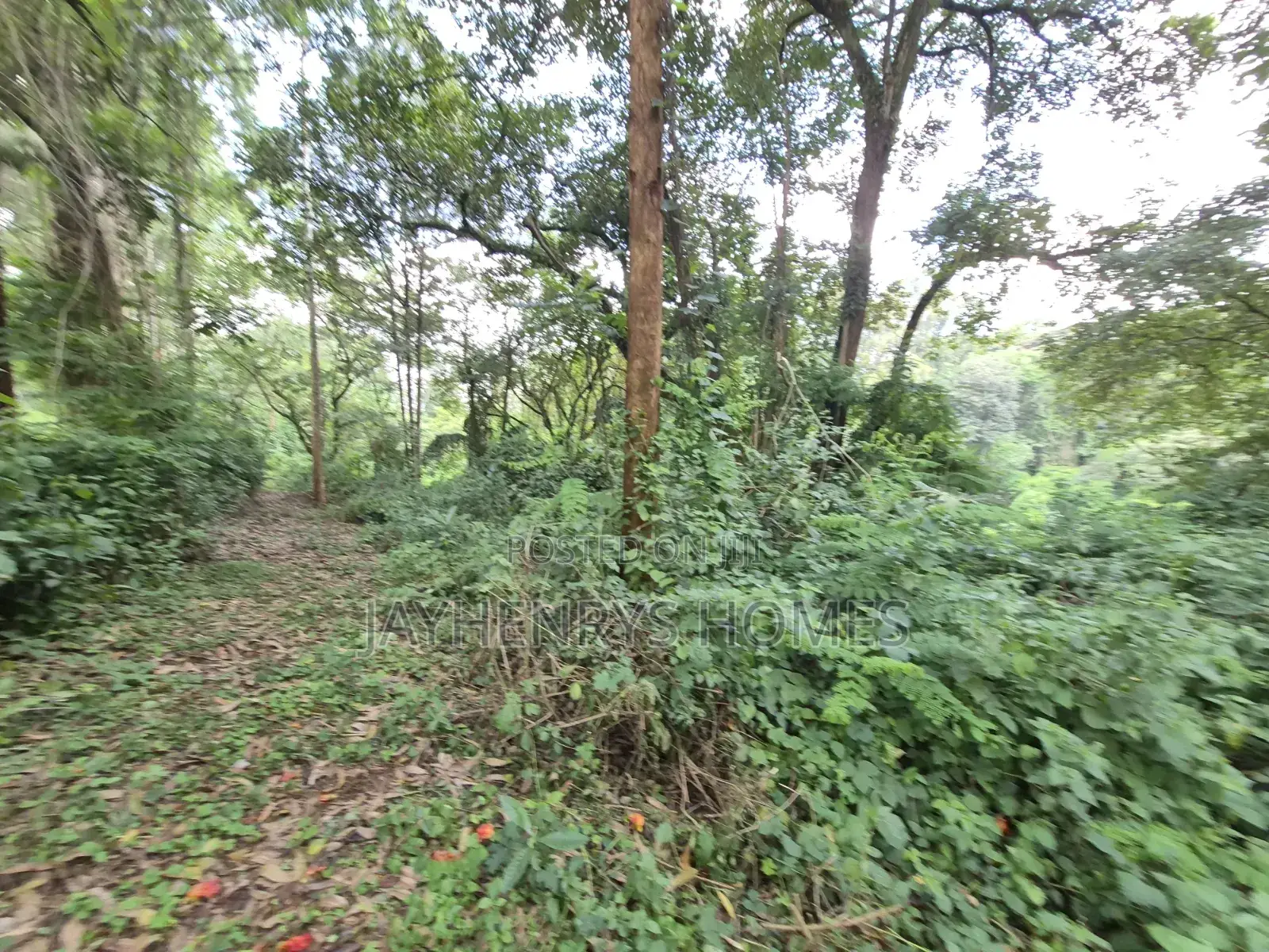 4.7 Acres of Land for Sale in Kitisuru Estate in Kitisuru