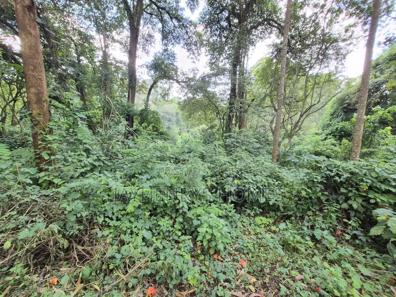 4.7 Acres of Land for Sale in Kitisuru Estate in Kitisuru