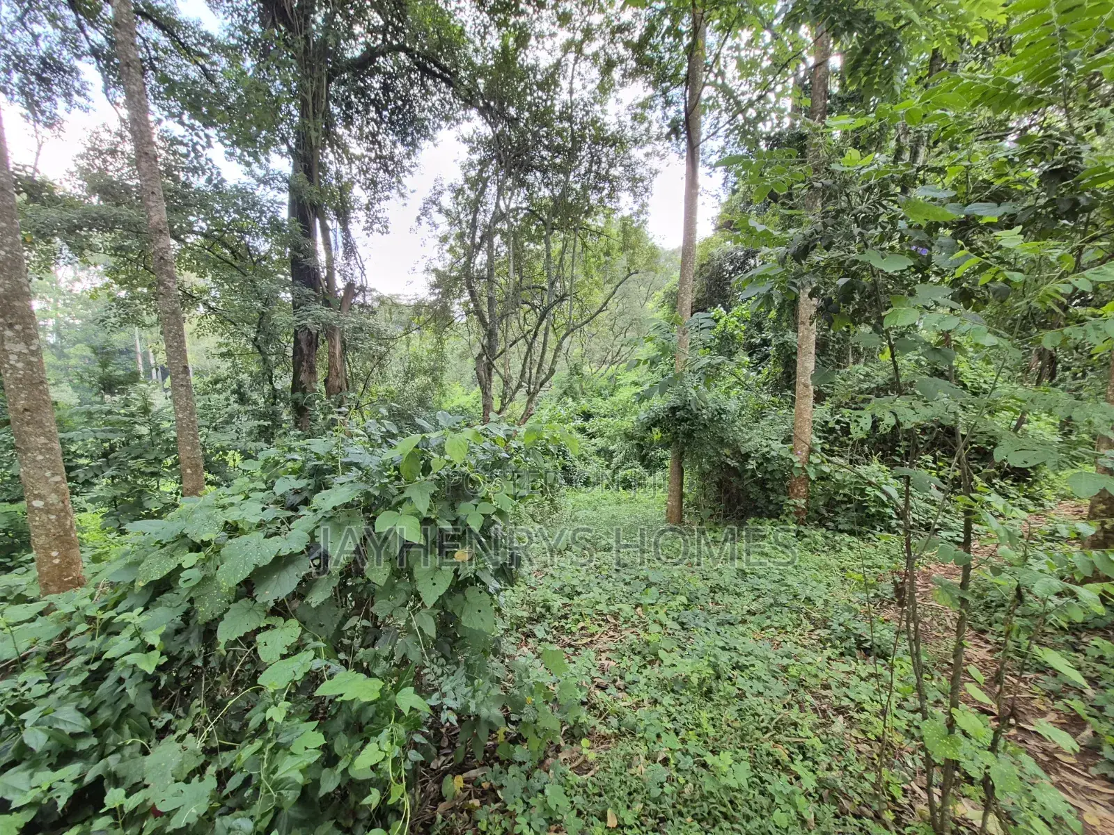 4.7 Acres of Land for Sale in Kitisuru Estate in Kitisuru