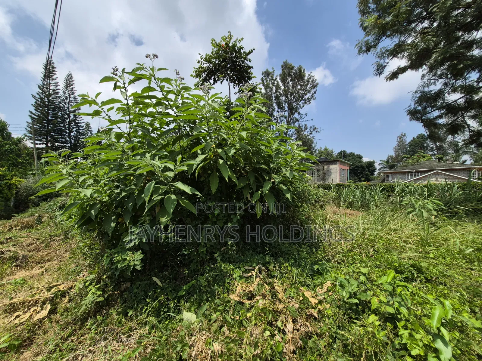 Half Acre Plot for Sale Along Kiambu Rd in Thindigua/Kasarini