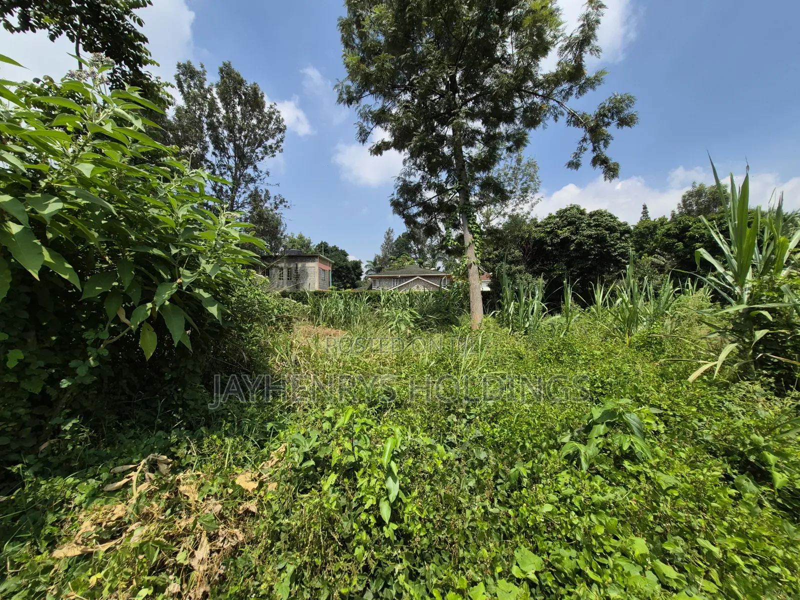 Half Acre Plot for Sale Along Kiambu Rd in Thindigua/Kasarini