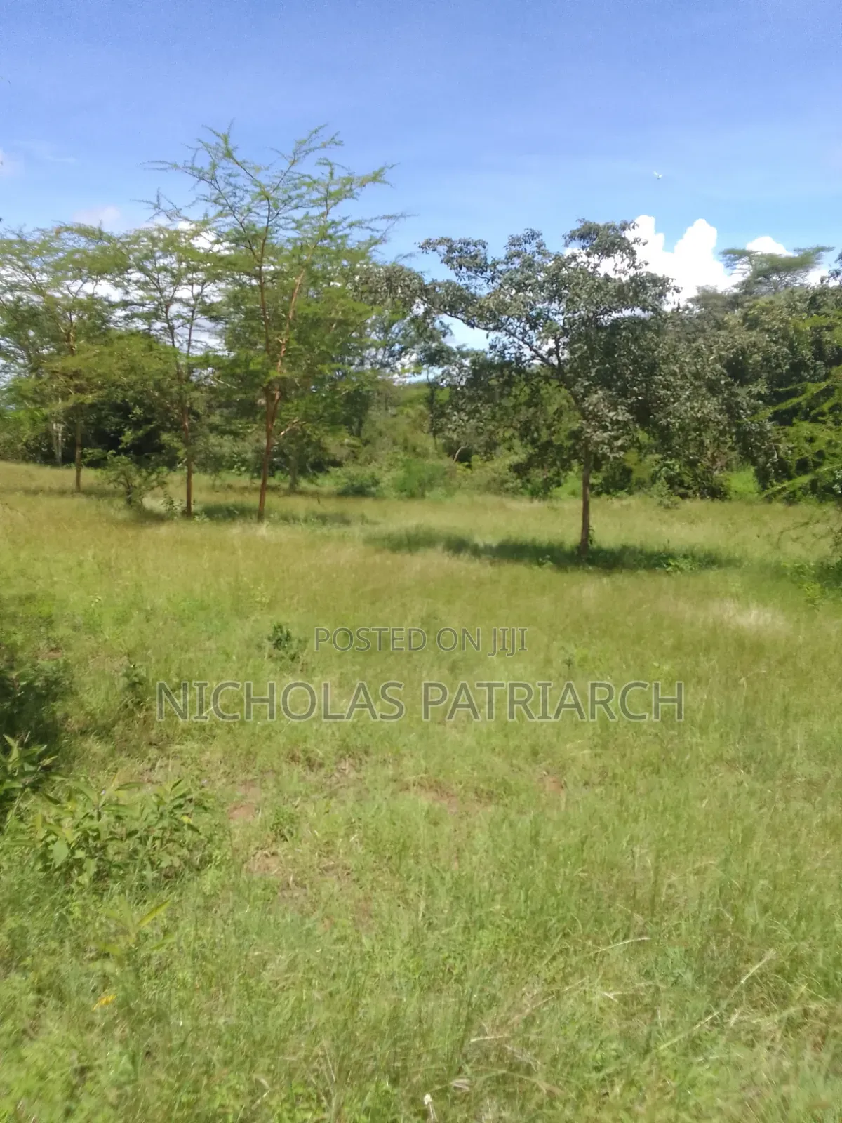 49 Acres Lukenya 200m From Mombasa Road Selling at 28m Per Acre in Lukenya