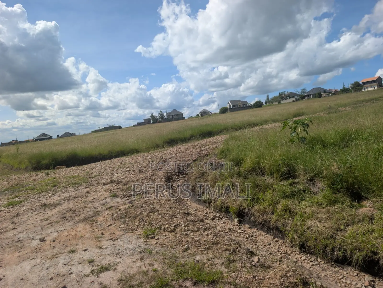 Hilma Estate in Kangundo