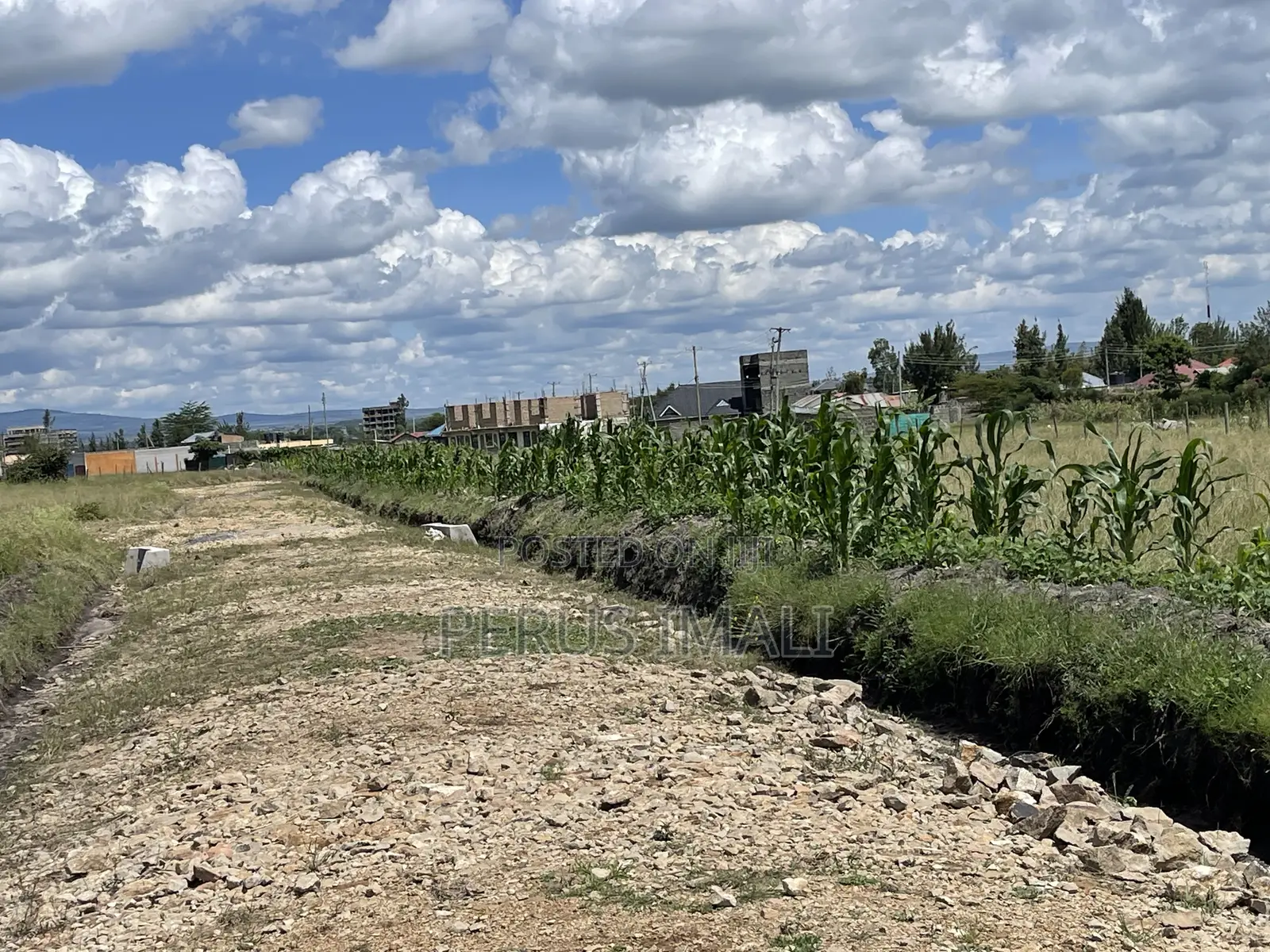 Hilma Estate in Kangundo