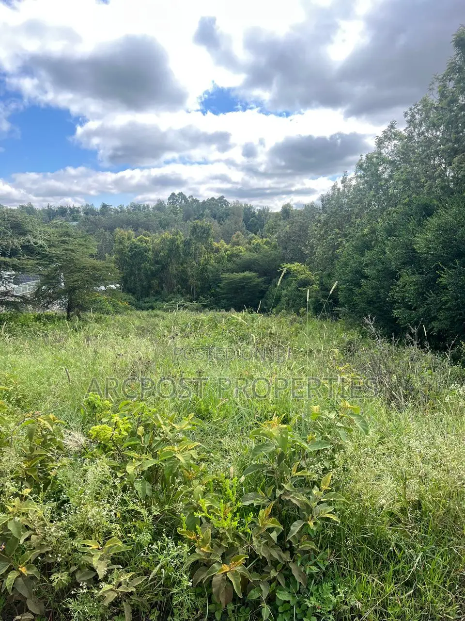 Prime 1/2 Acre Land for Sale in Kiserian Near St Patrick’S School in Kiserian