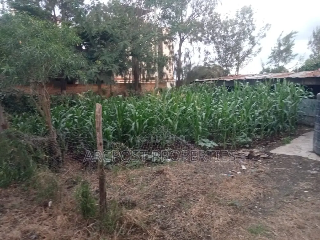 Prime Quarter Acre Land for Sale in Olekasasi Ongata Rongai in Ole Kasasi