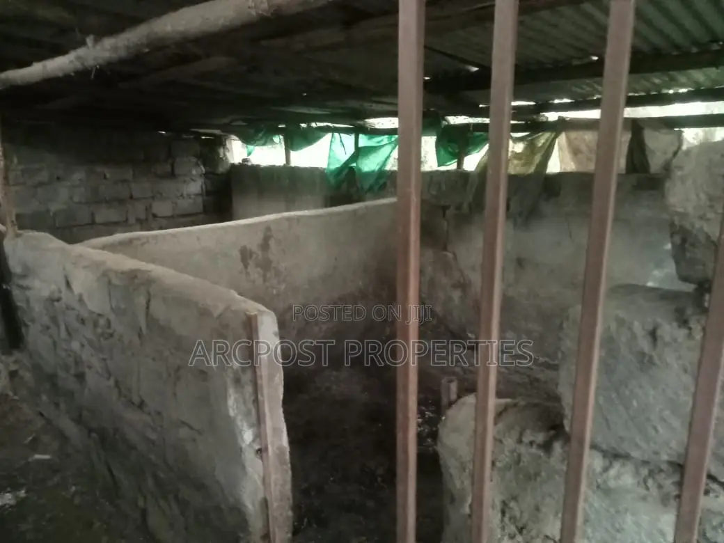 Prime Quarter Acre Land for Sale in Olekasasi Ongata Rongai in Ole Kasasi