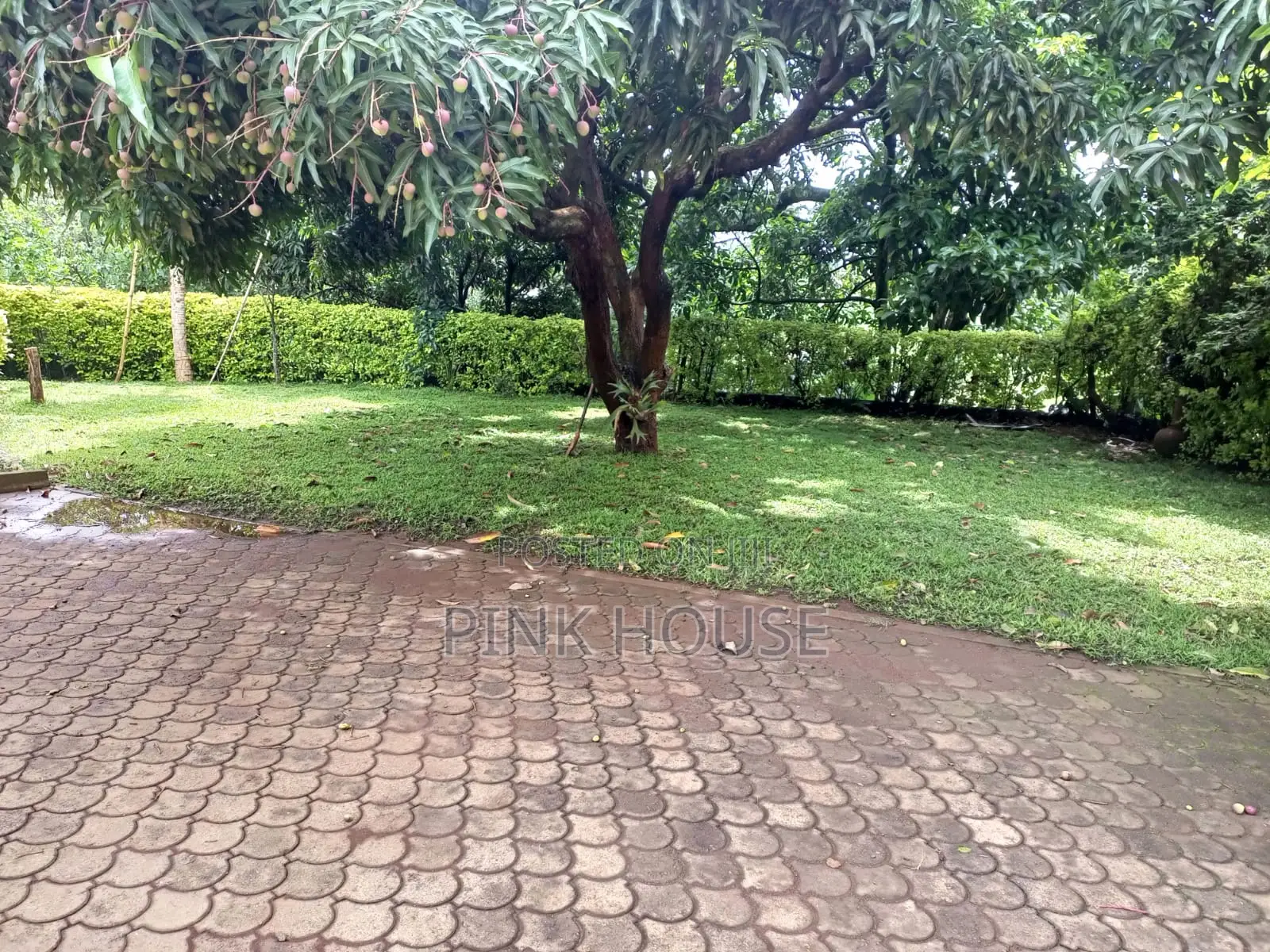Kugeria Prime Half Acre Corner Plot in Thindigua/Kasarini