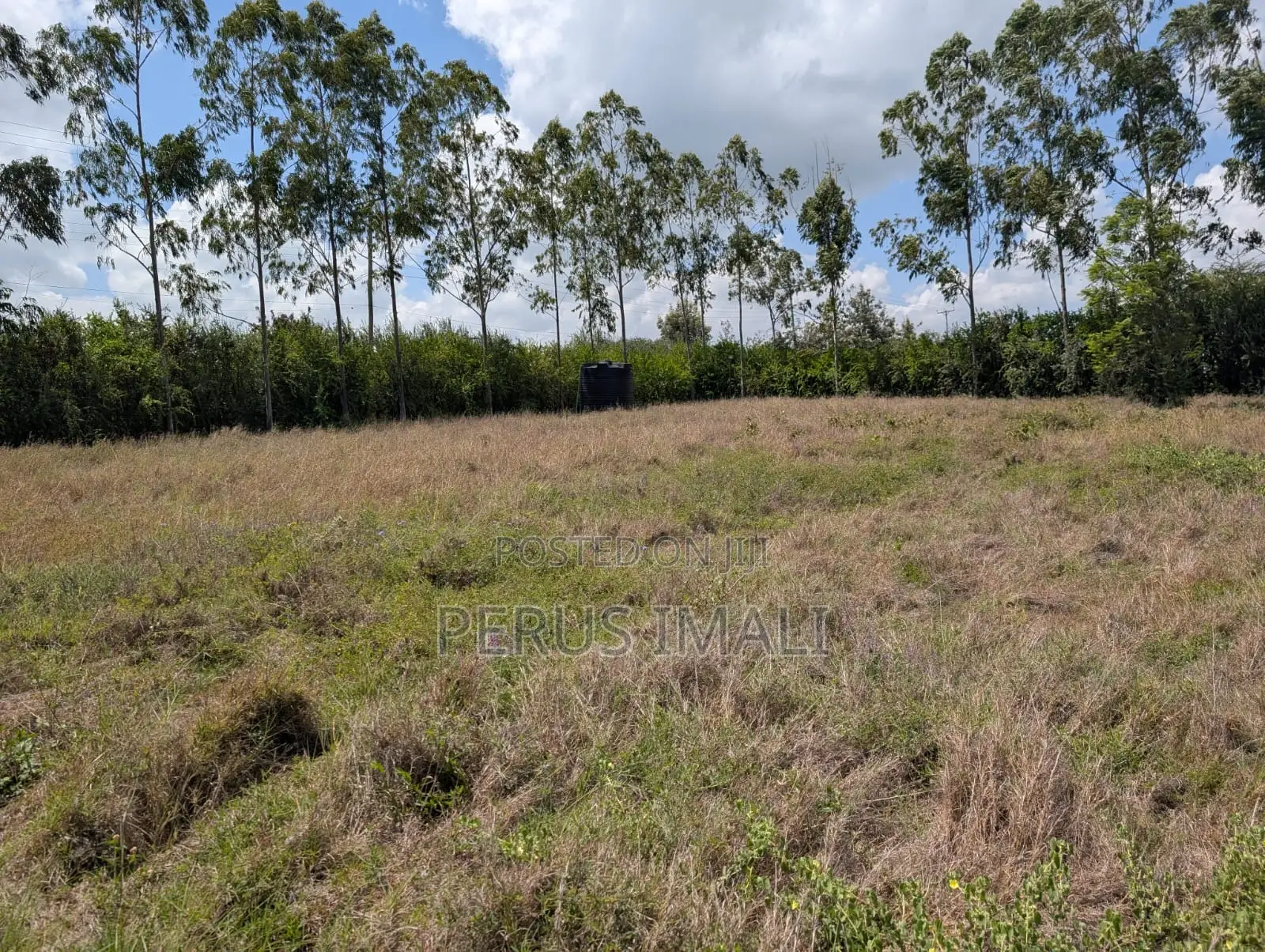 Acacia Kitengela in Kitengela