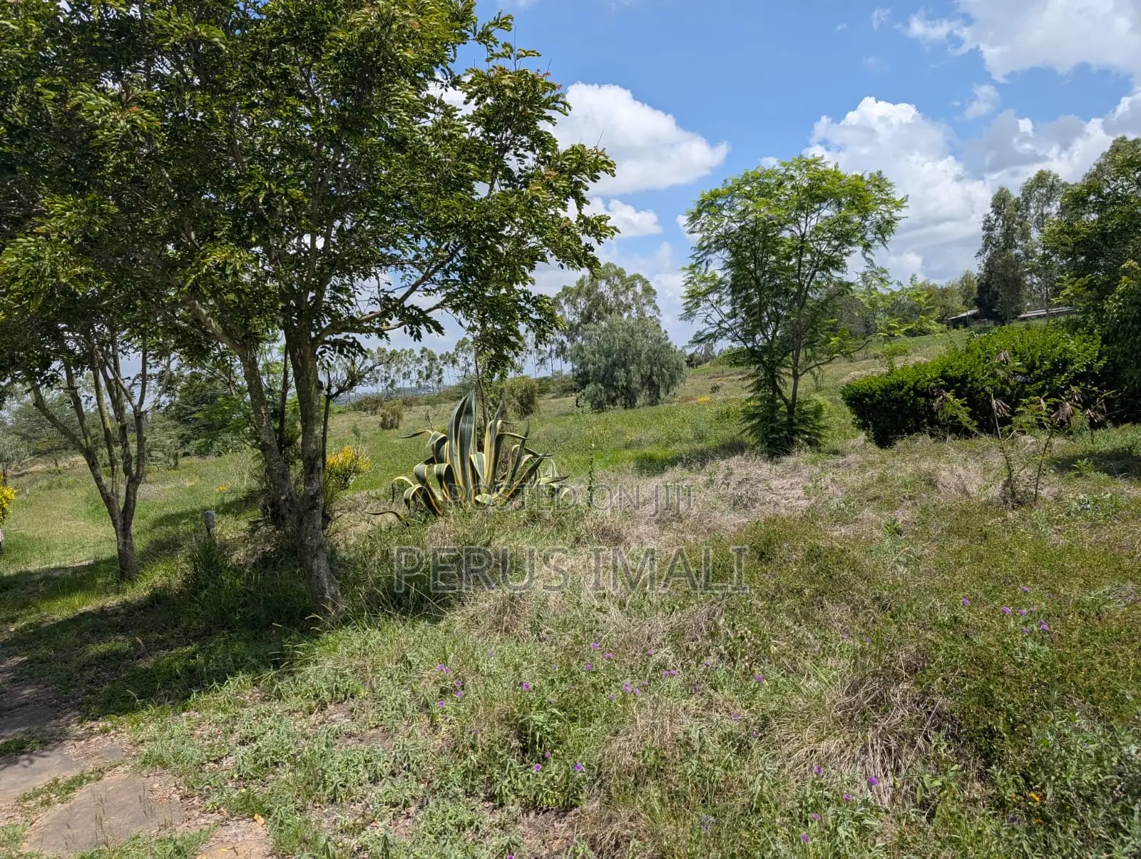 Acacia Kitengela in Kitengela