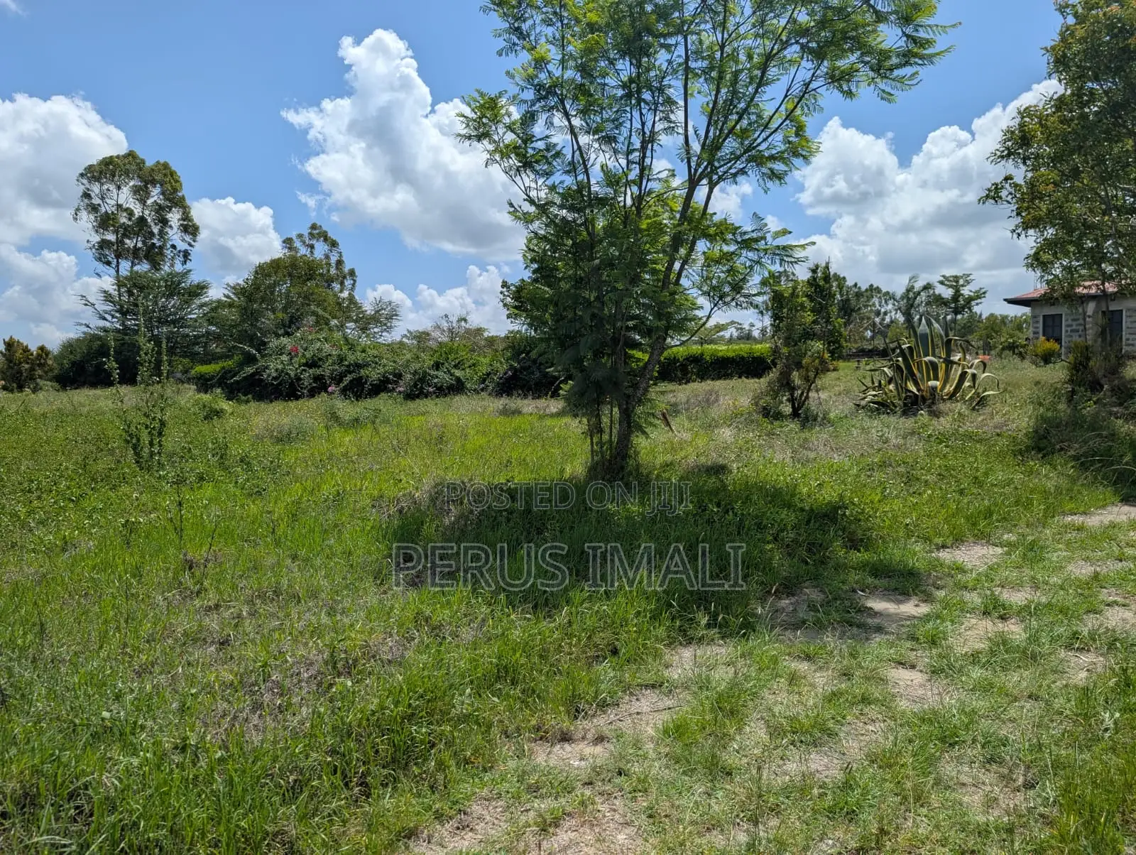Acacia Kitengela in Kitengela