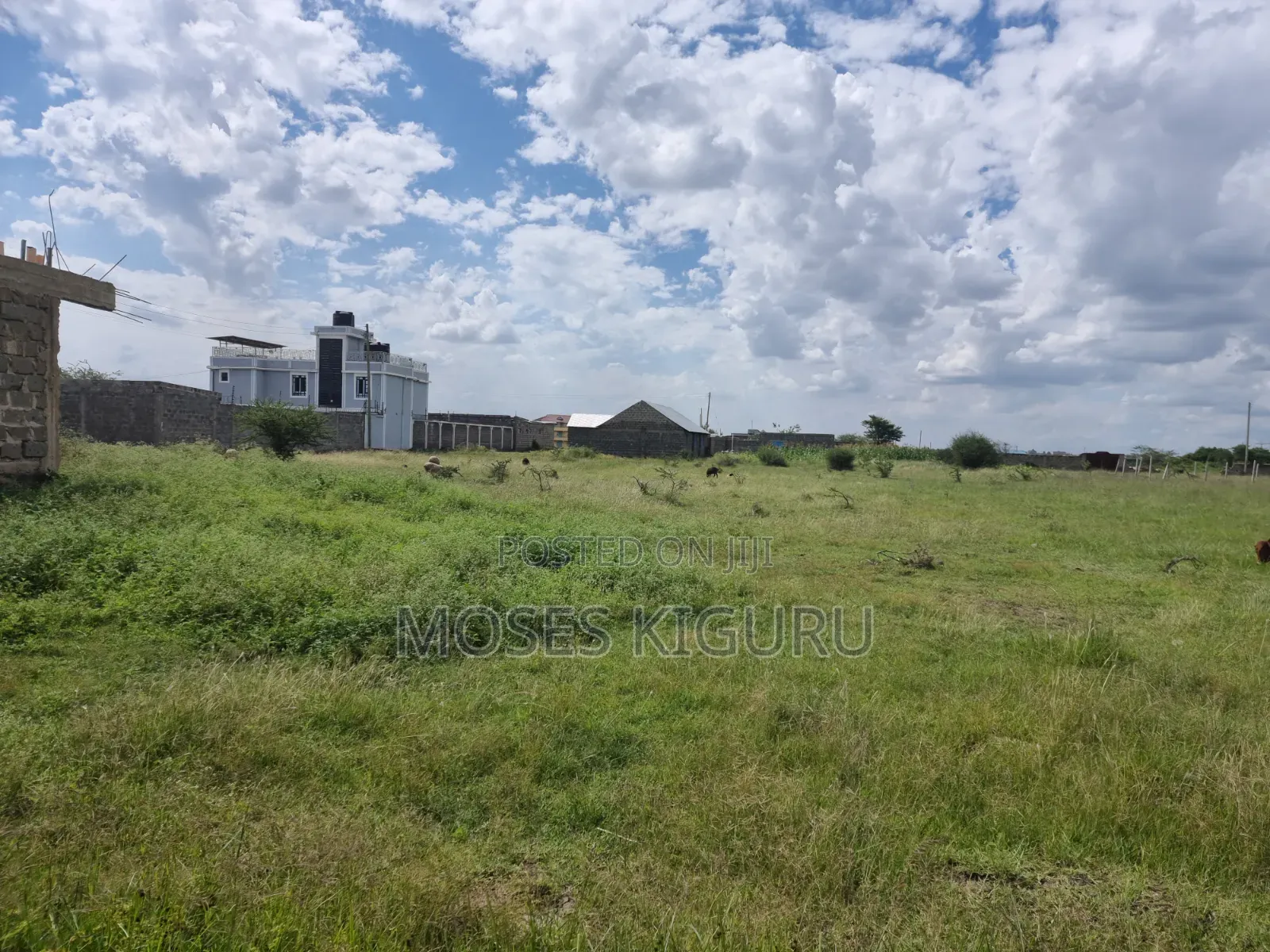 Ndarasha 40x60 Plots. in Murera