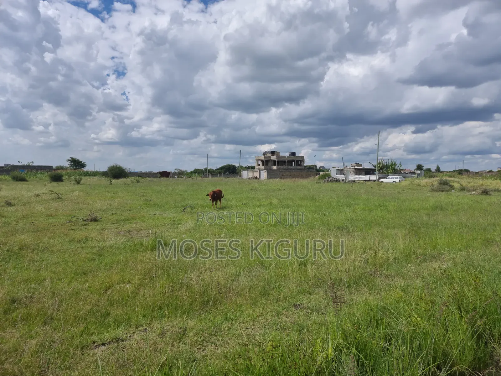 Ndarasha 40x60 Plots. in Murera