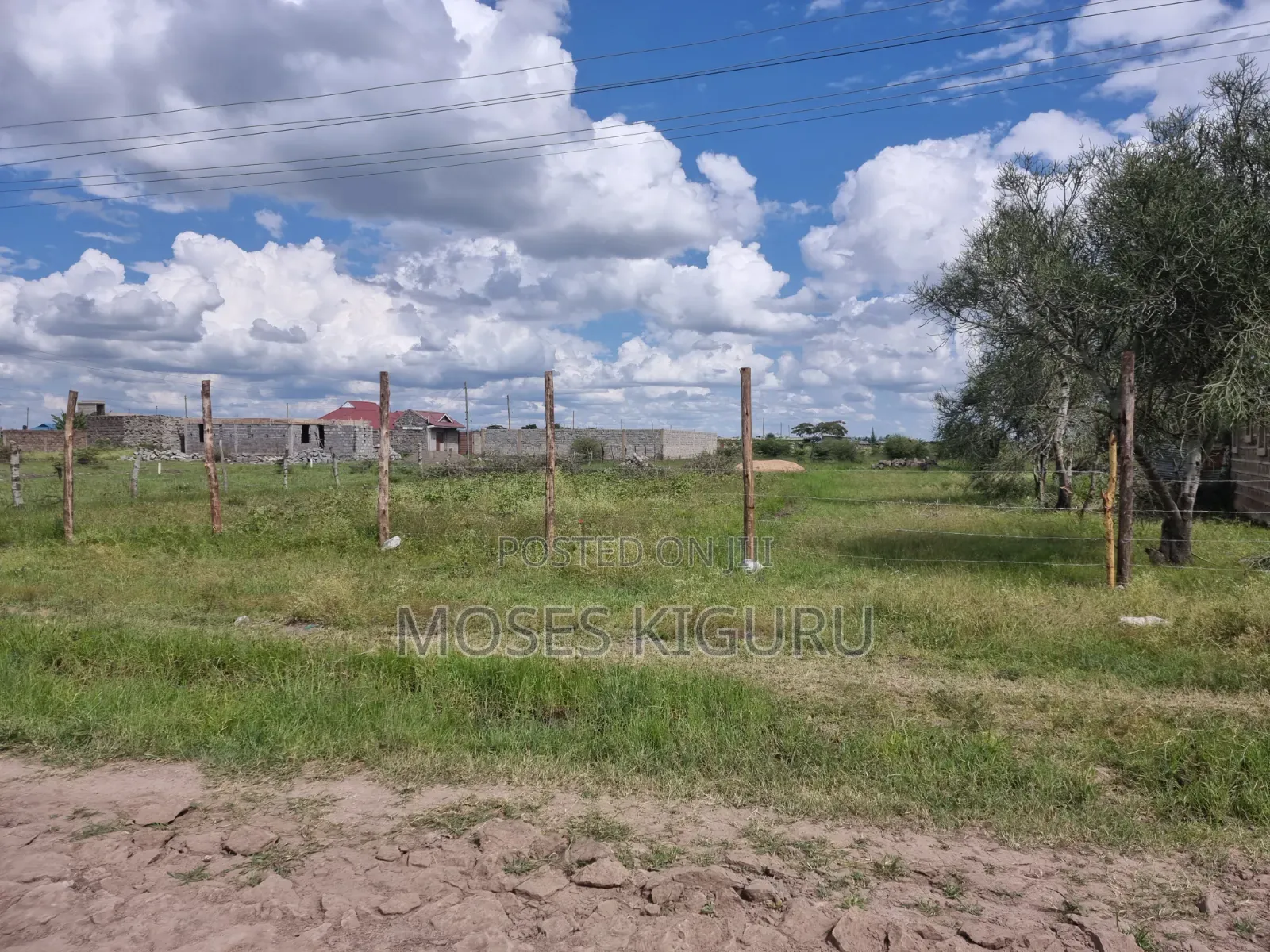 Ndarasha 40x60 Plots. in Murera