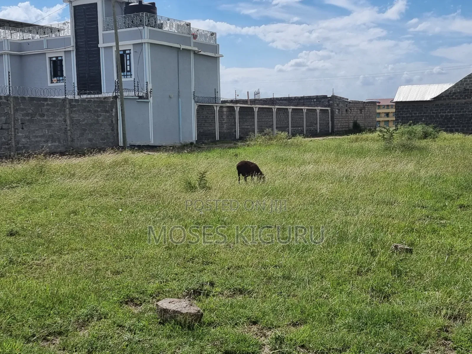 Ndarasha 40x60 Plots. in Murera