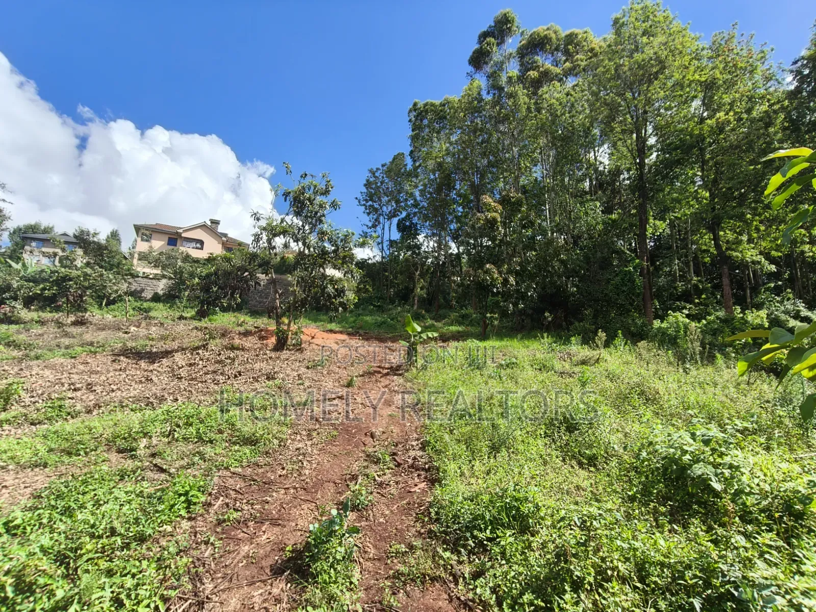 Quarter Acre Plot for Sale in Ngong, Matasia. Residential Red Soil in Matasia