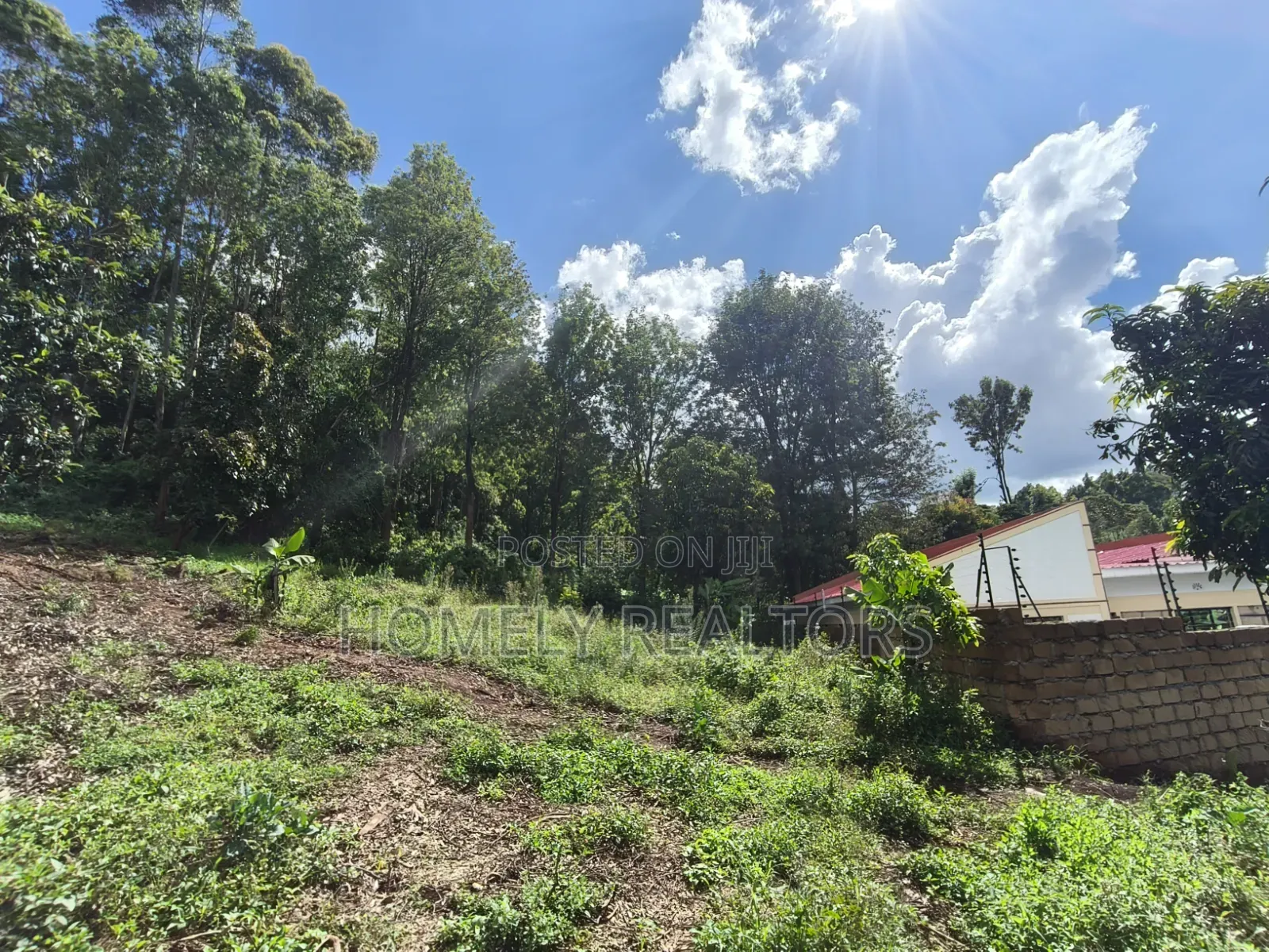 Quarter Acre Plot for Sale in Ngong, Matasia. Residential Red Soil in Matasia