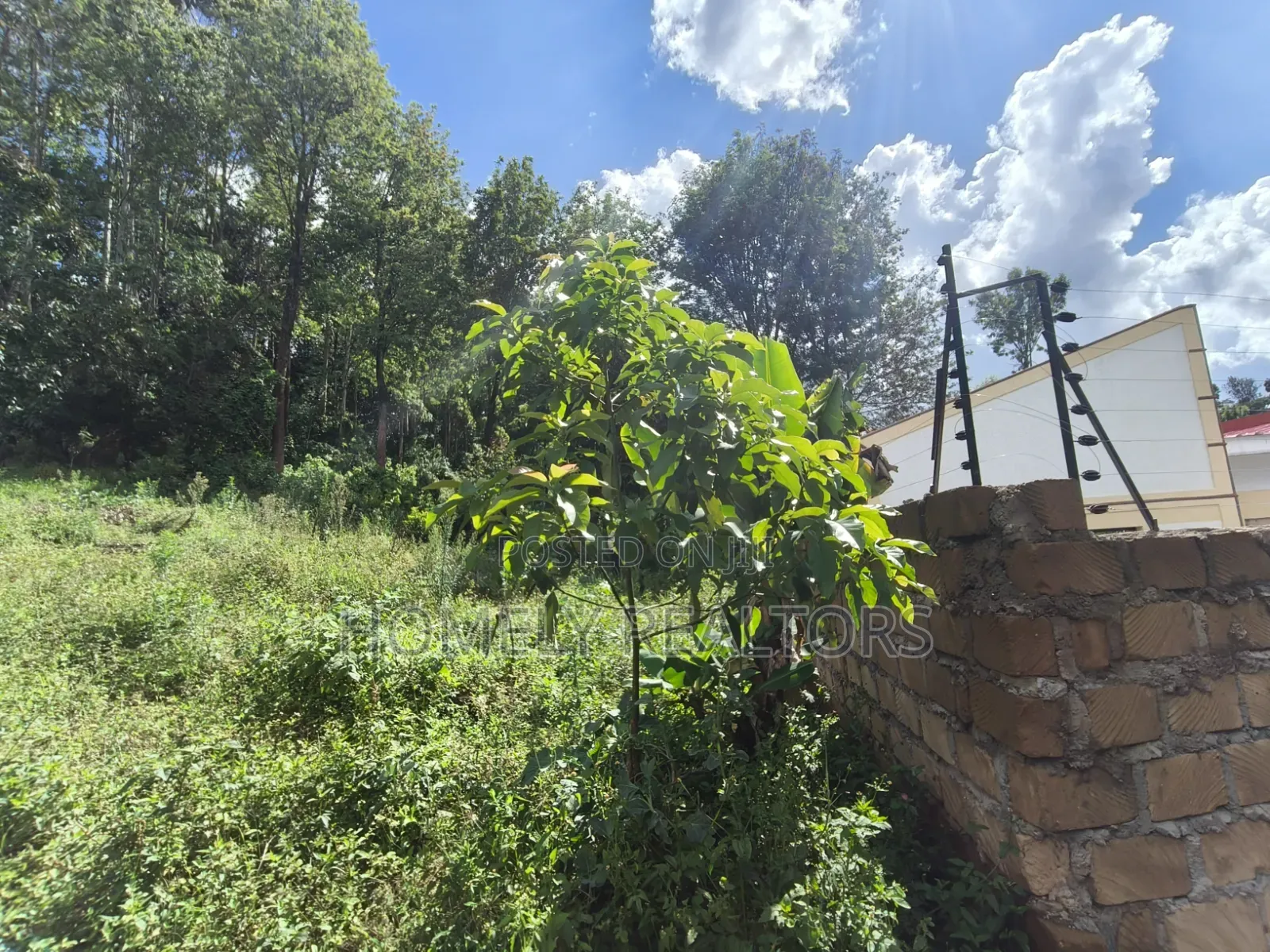 Quarter Acre Plot for Sale in Ngong, Matasia. Residential Red Soil in Matasia