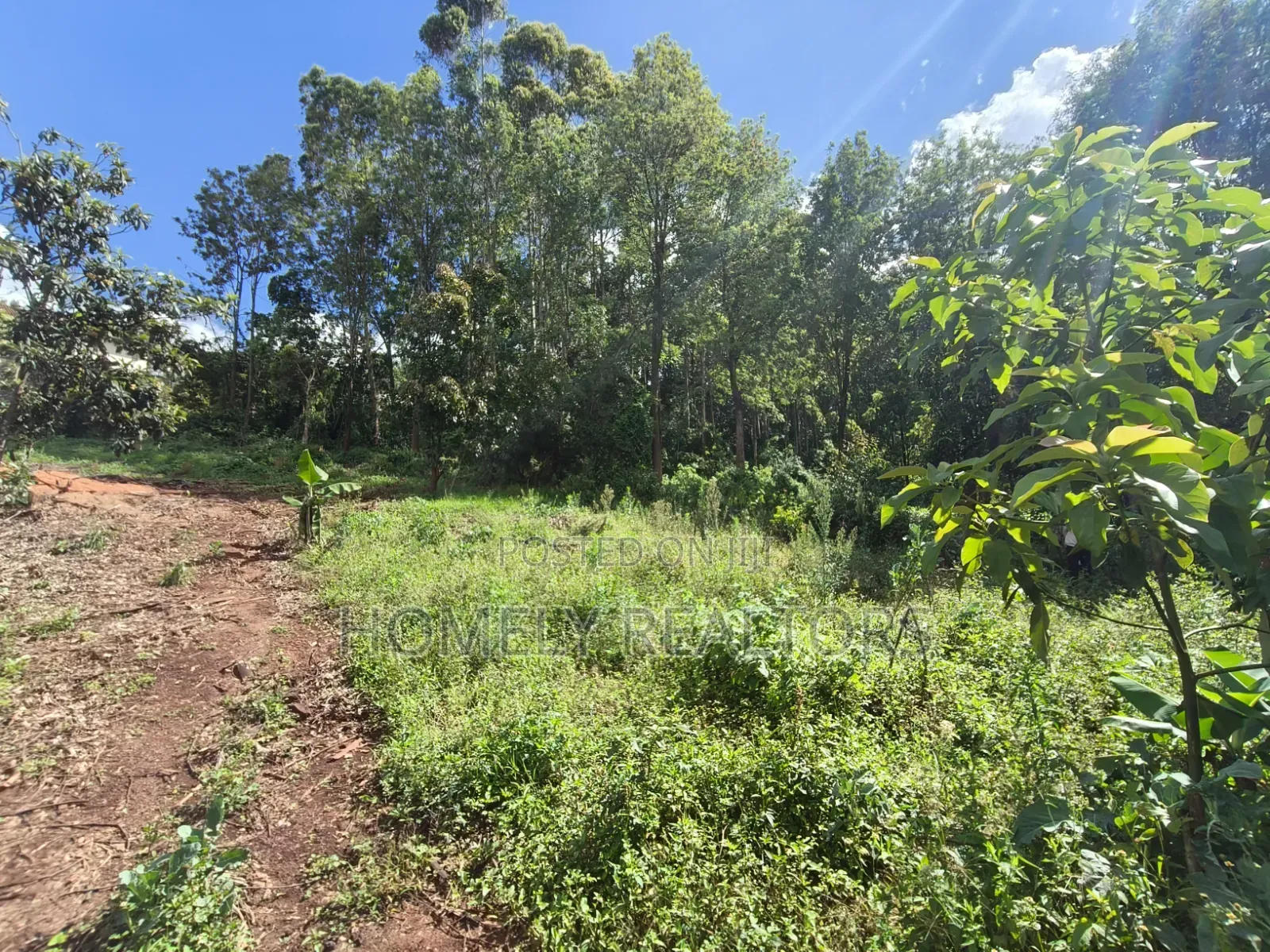 Quarter Acre Plot for Sale in Ngong, Matasia. Residential Red Soil in Matasia