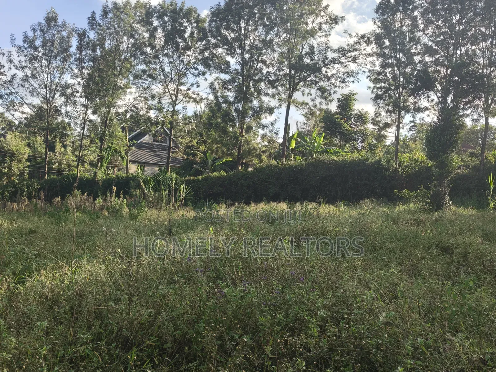 Residential 8th Acre Red Soil Plot for Sale in Kerarapon Drive in Kerarapon