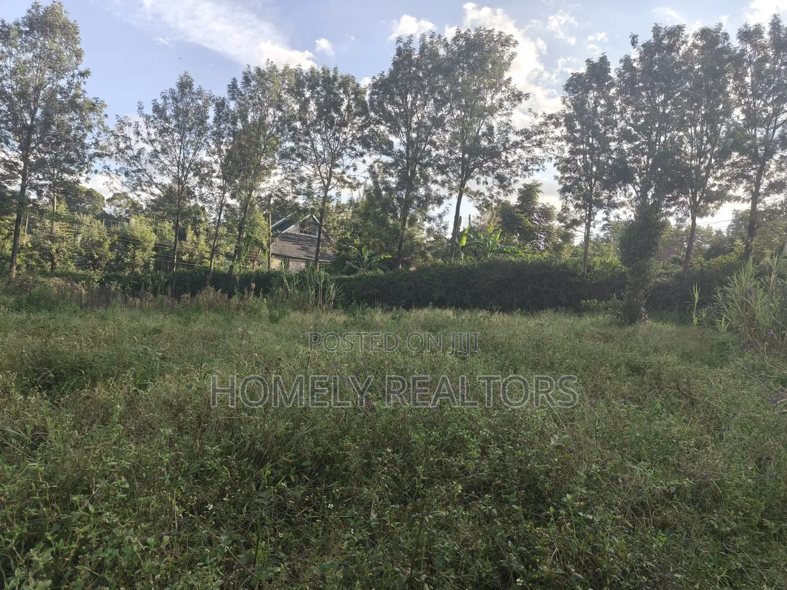 Residential 8th Acre Red Soil Plot for Sale in Kerarapon Drive in Kerarapon