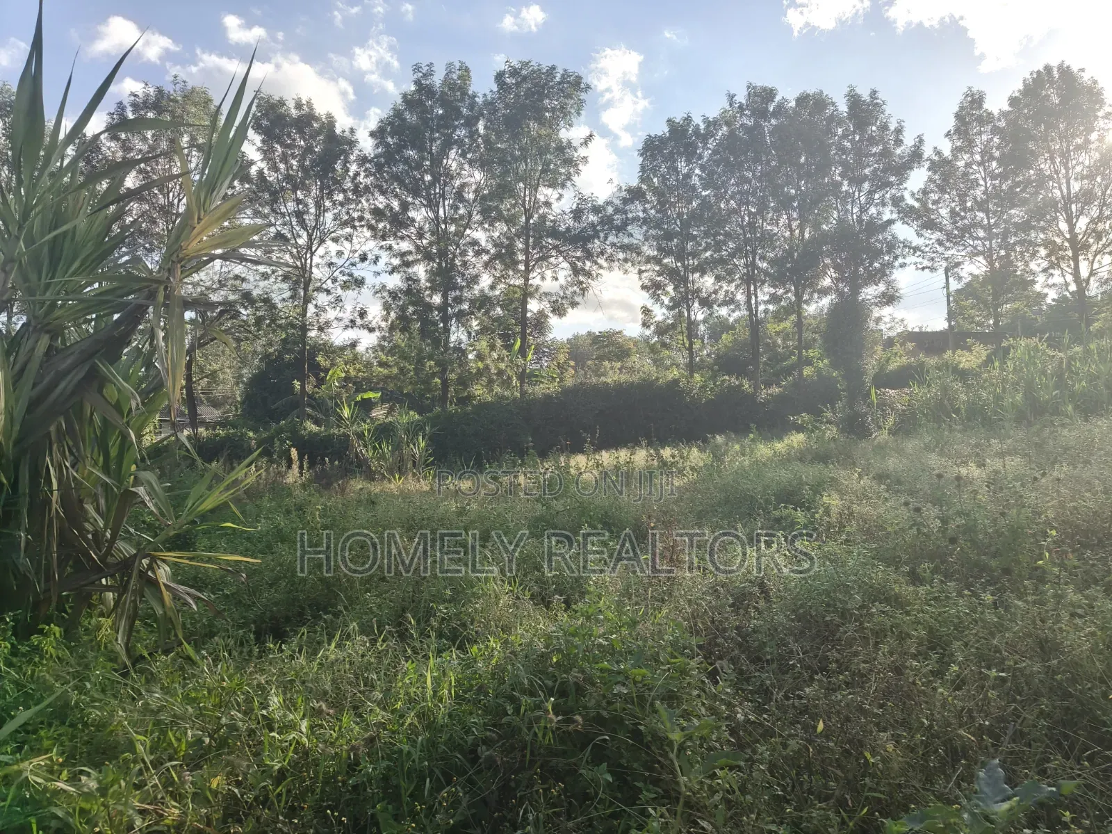 Residential 8th Acre Red Soil Plot for Sale in Kerarapon Drive in Kerarapon