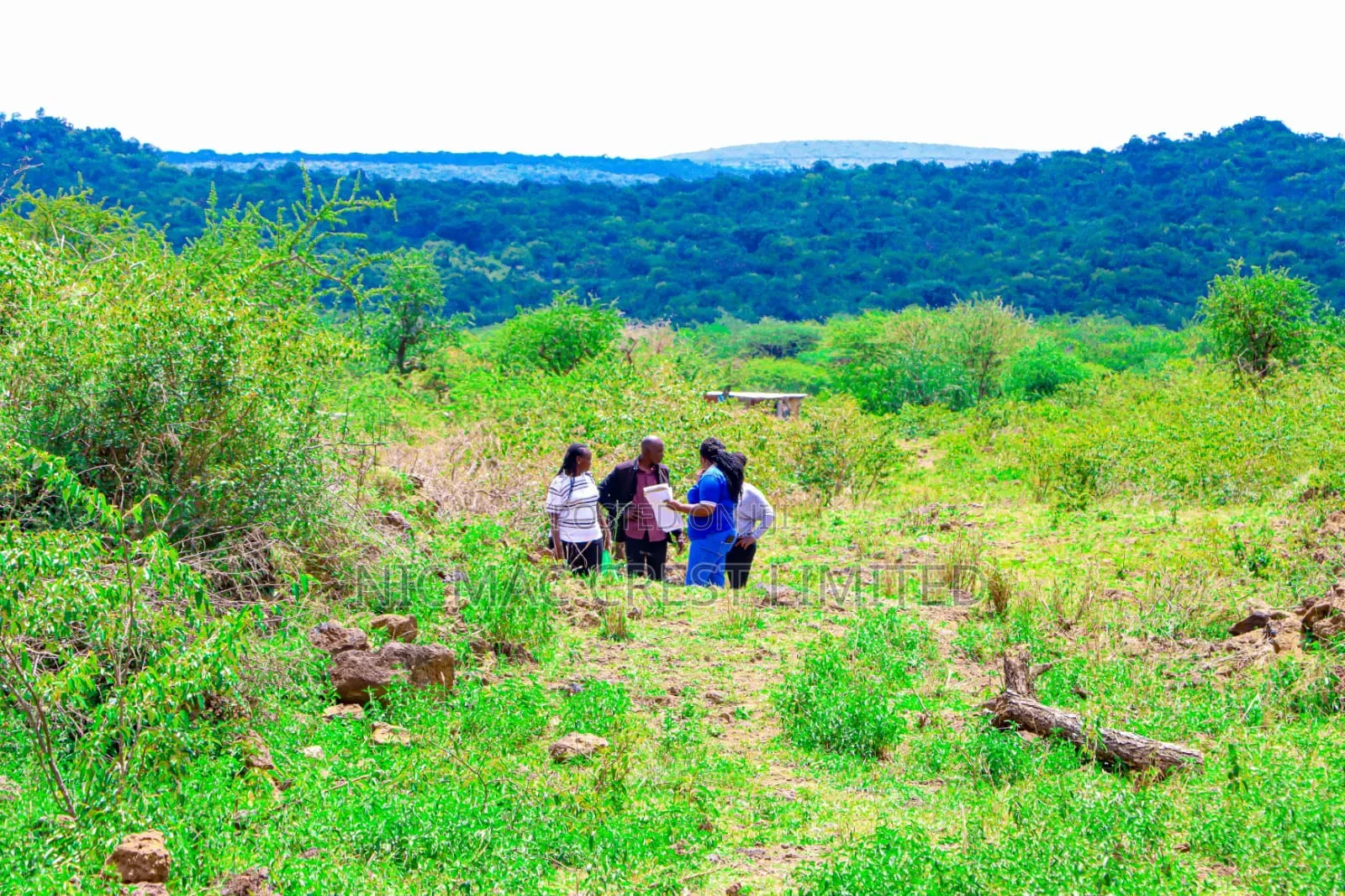 Plots for Sale in Ewaso Kendong