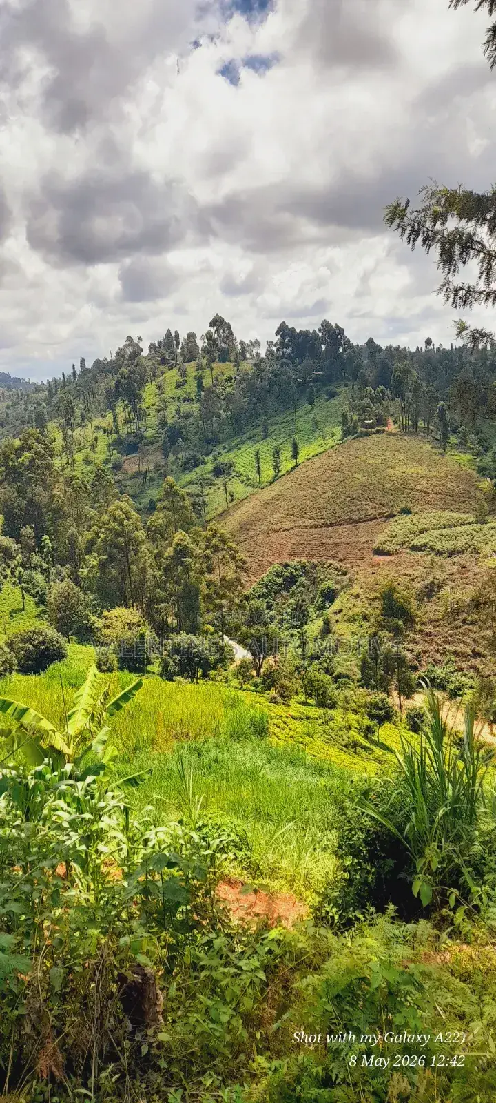 2acres Tea Farm for Sale in Gatundu North in Gituamba