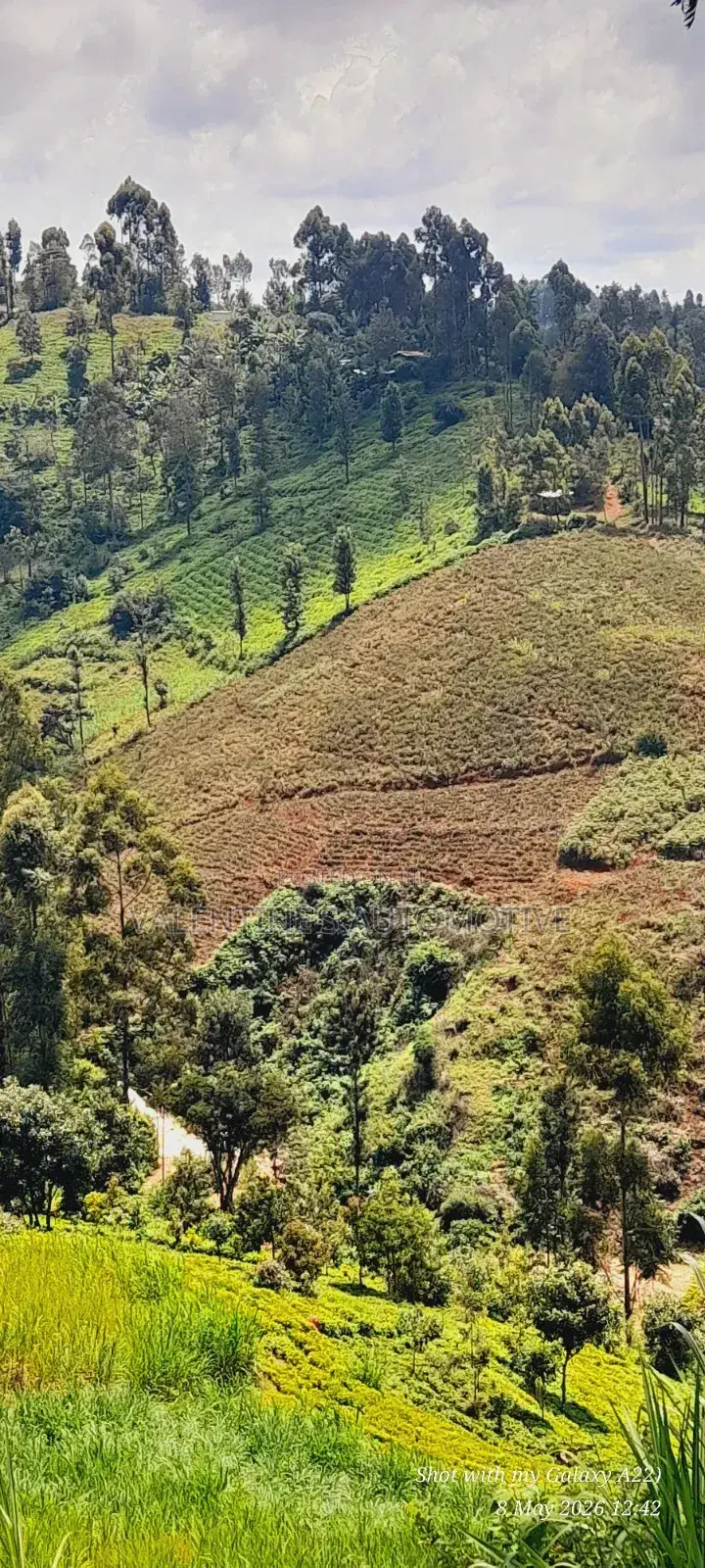 2acres Tea Farm for Sale in Gatundu North in Gituamba