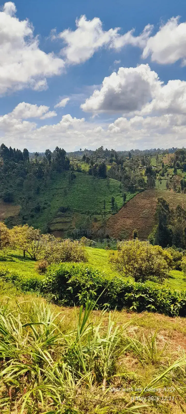 2acres Tea Farm for Sale in Gatundu North in Gituamba
