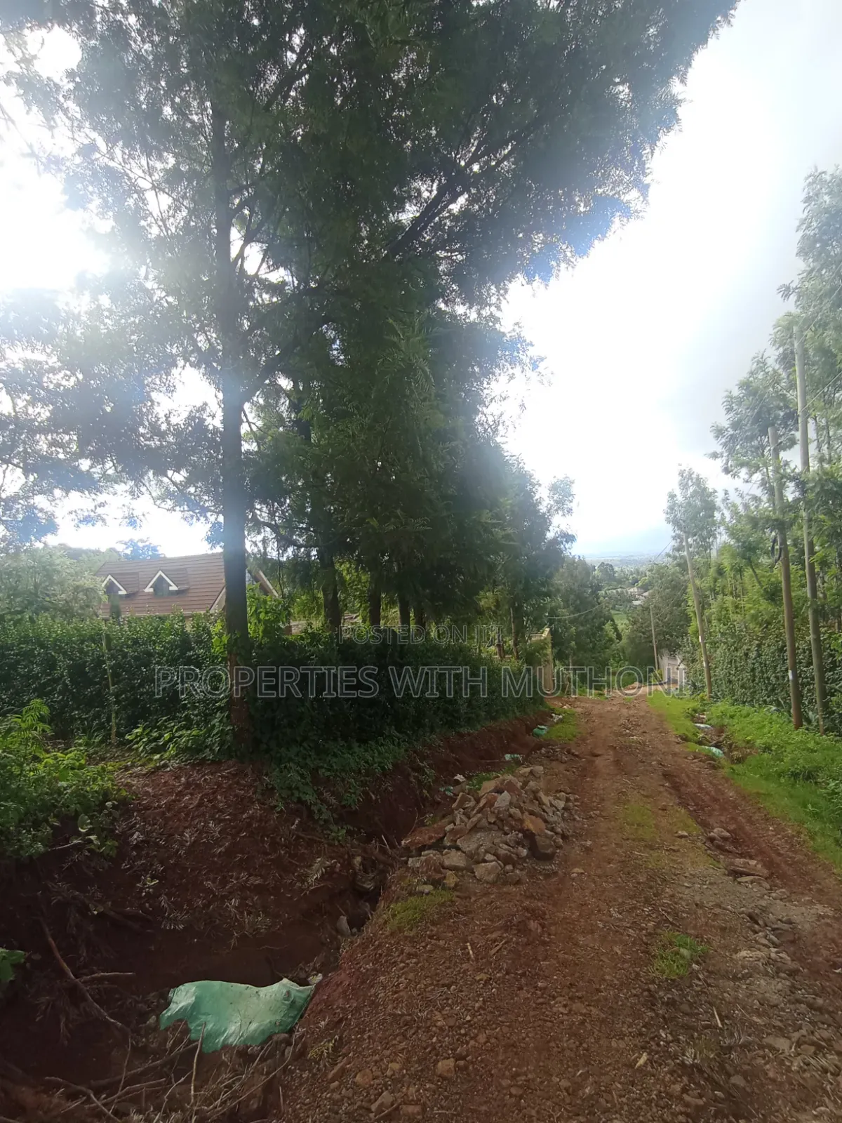 50×100 Plots for Sale in Lemiso Road, Ngong. in Kibiku