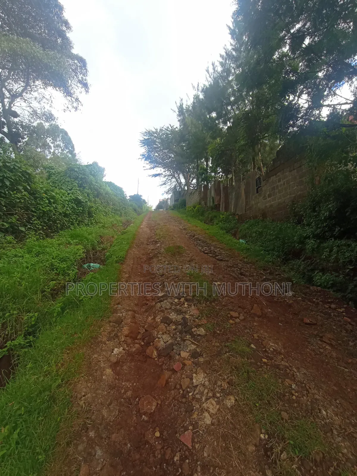 50×100 Plots for Sale in Lemiso Road, Ngong. in Kibiku