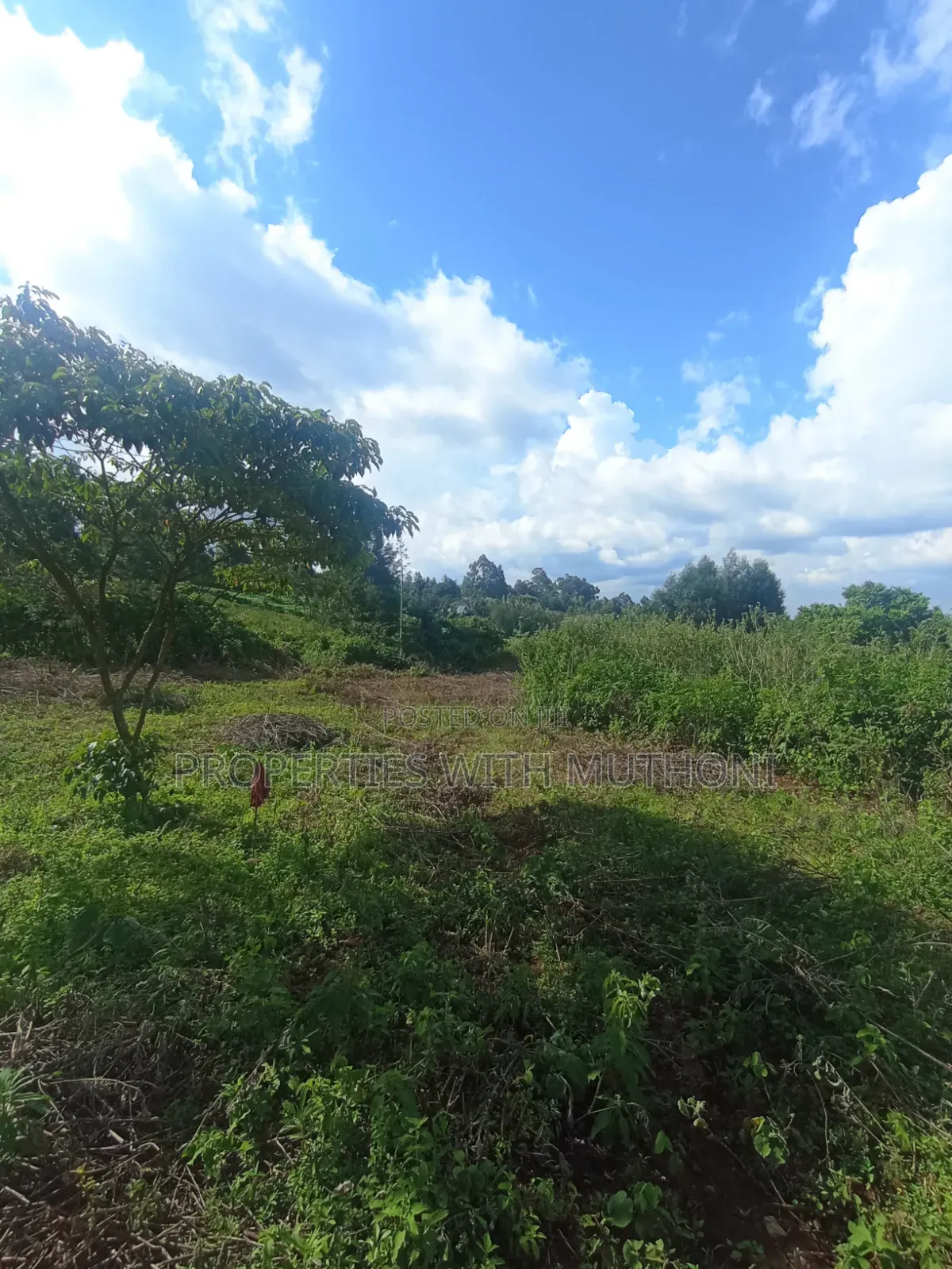 50×100 Plots for Sale in Lemiso Road, Ngong. in Kibiku