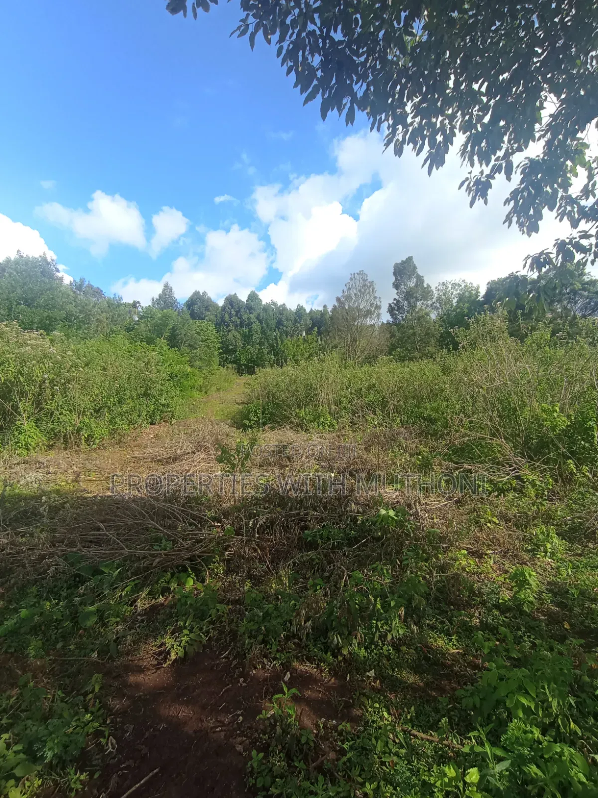 50×100 Plots for Sale in Lemiso Road, Ngong. in Kibiku