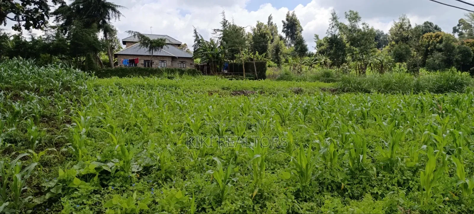 Affordable Prime Plots in a Residential Area in Kikuyu