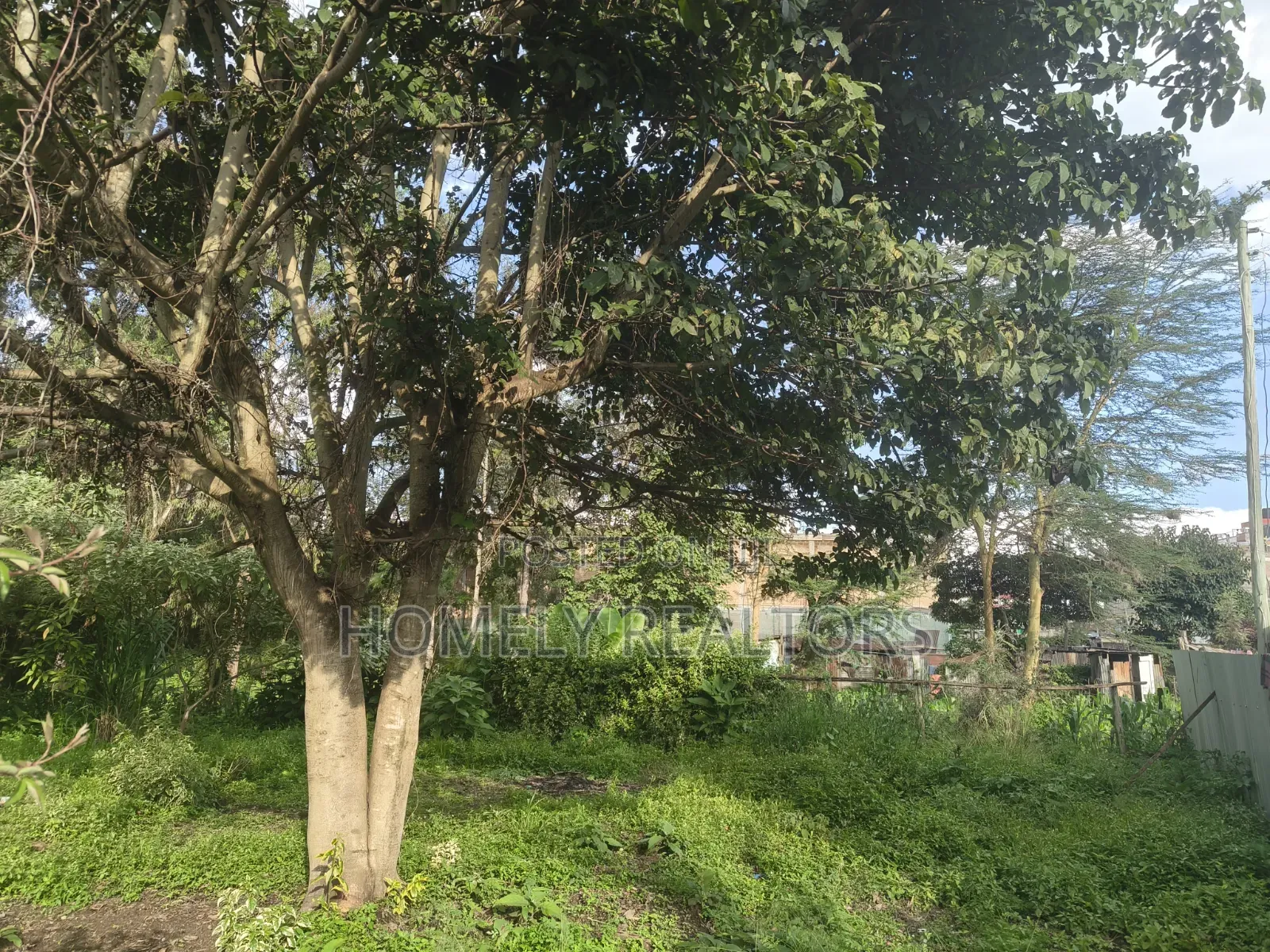 Commercial 8th Acre Plot for Sale in Ngong, Ebulbul Touching Tarmac in Ebulbul