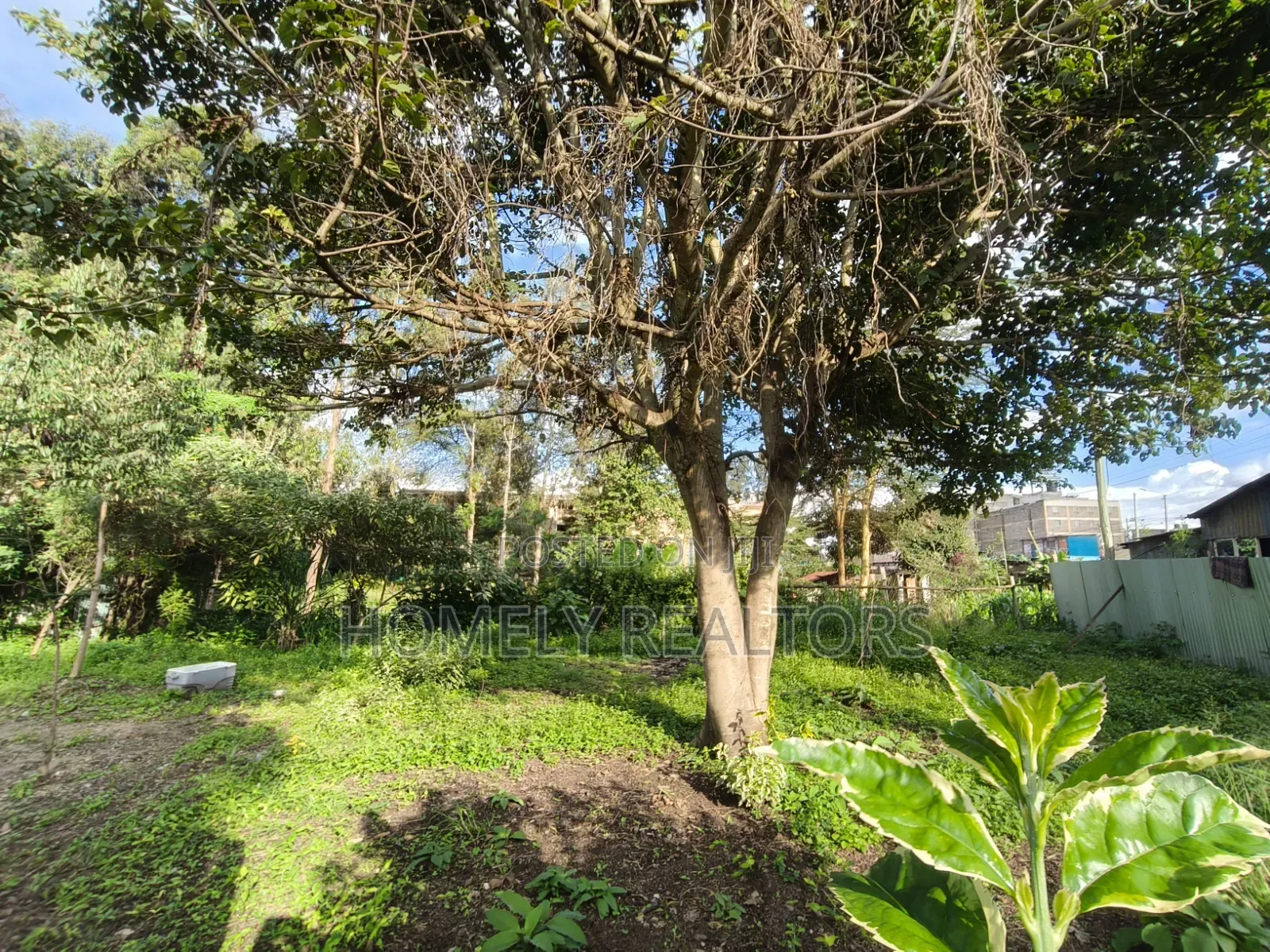 Commercial 8th Acre Plot for Sale in Ngong, Ebulbul Touching Tarmac in Ebulbul