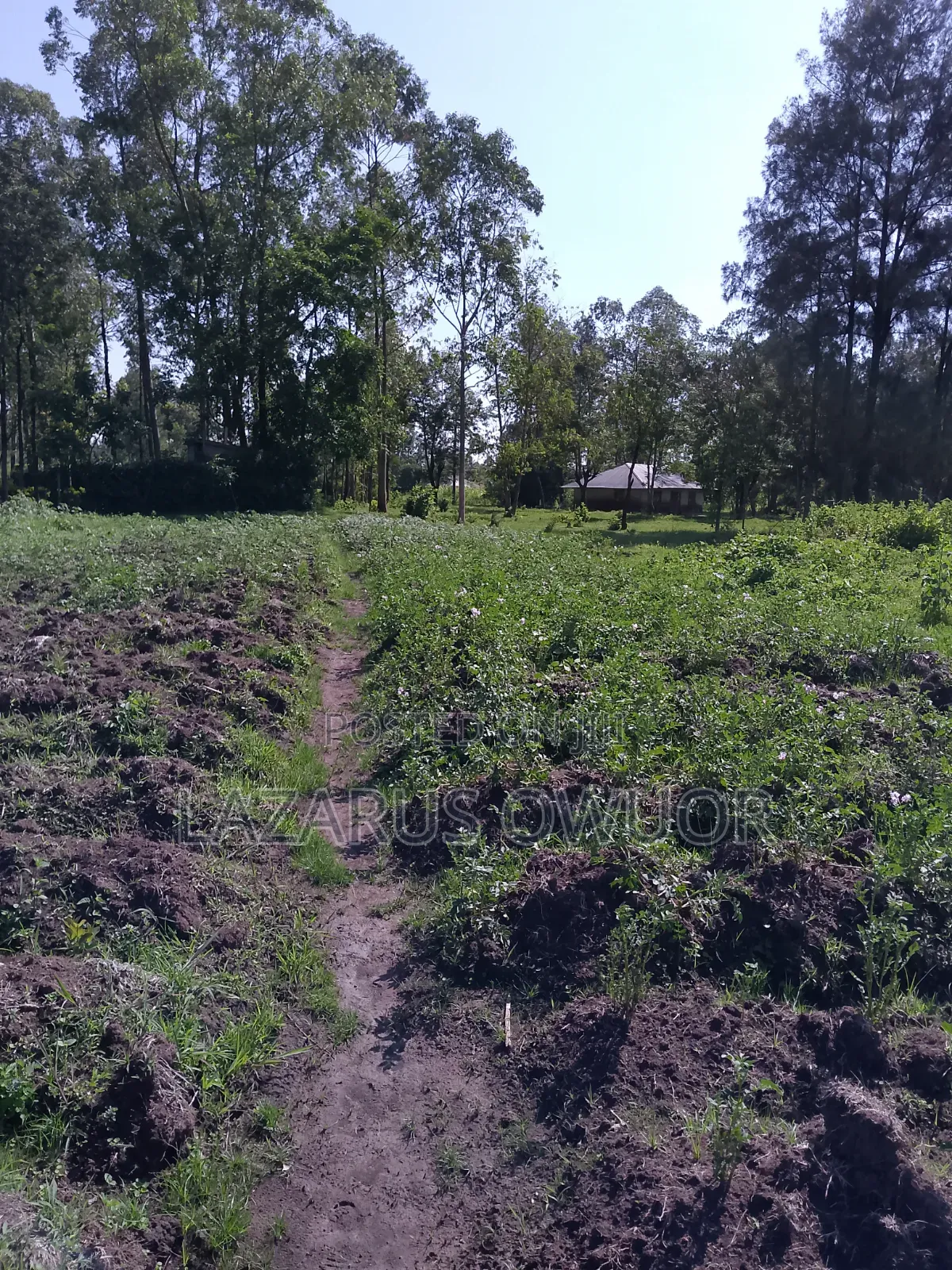Land for Sale in Homa Bay Central