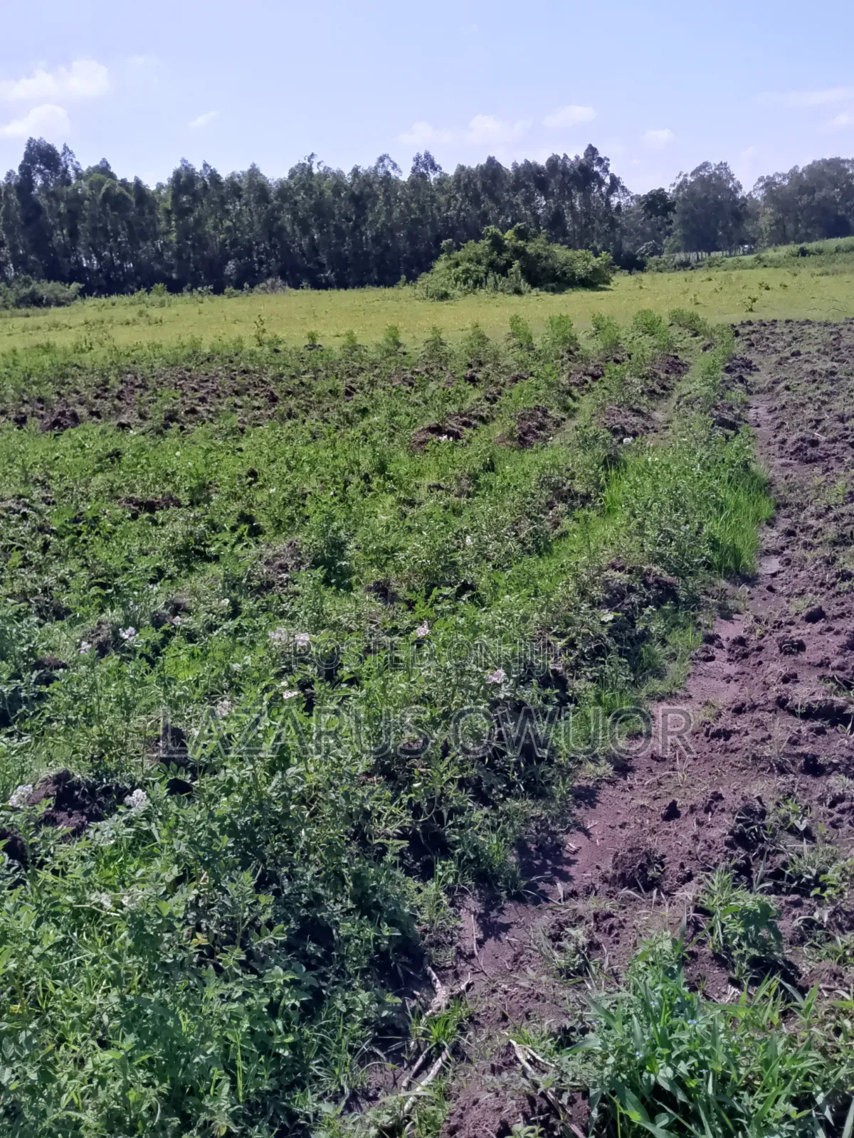 Land for Sale in Homa Bay Central