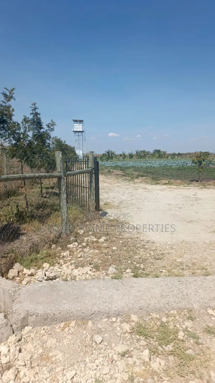 Prime Plot in Kitengela