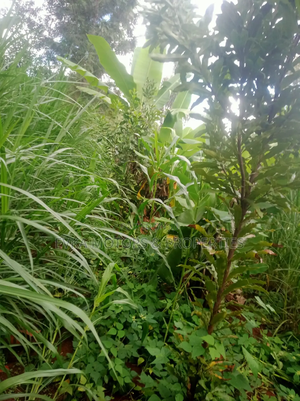 Mukangu -Kiharu Half Acre With a 2 Bedroom House at 3 M Master Ensuite in Mugoiri
