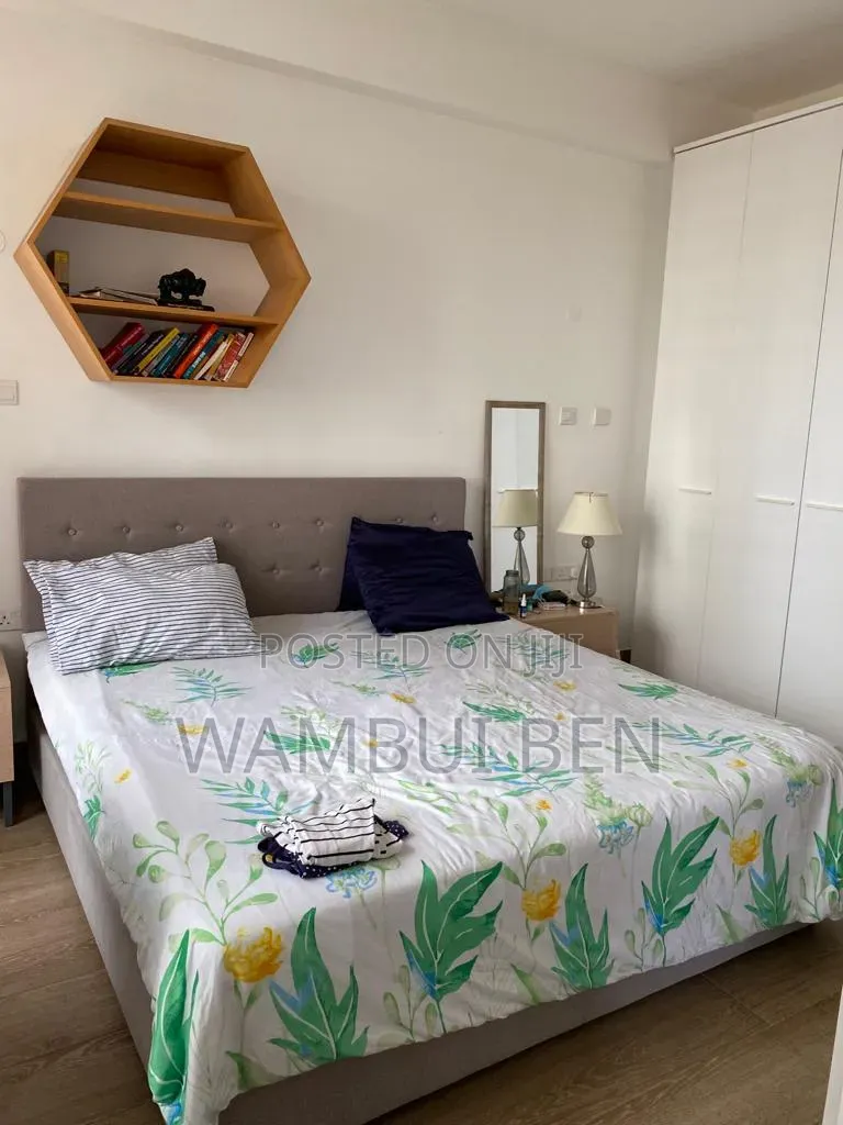 Furnished 2bdrm Apartment in Raphta Road Area for rent in Raphta Road Area